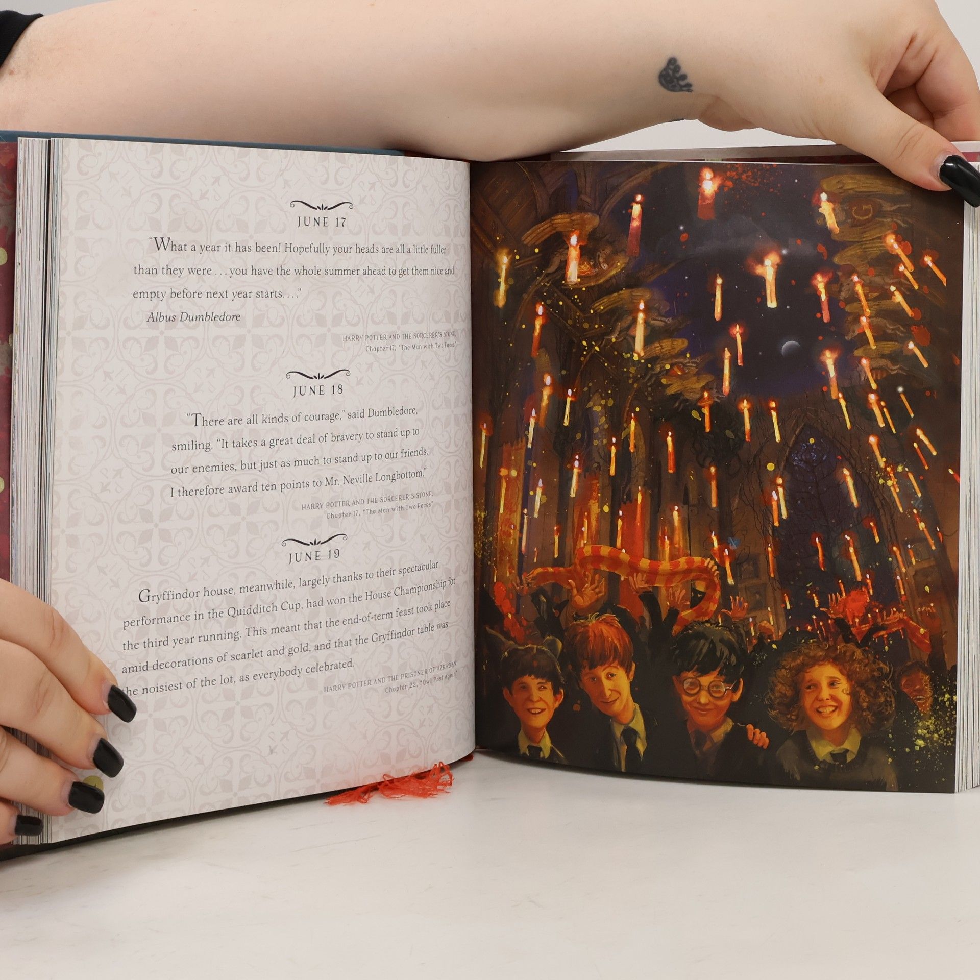 J. K. Rowling Harry Potter: A Magical Year -- The Illustrations of Jim Kay