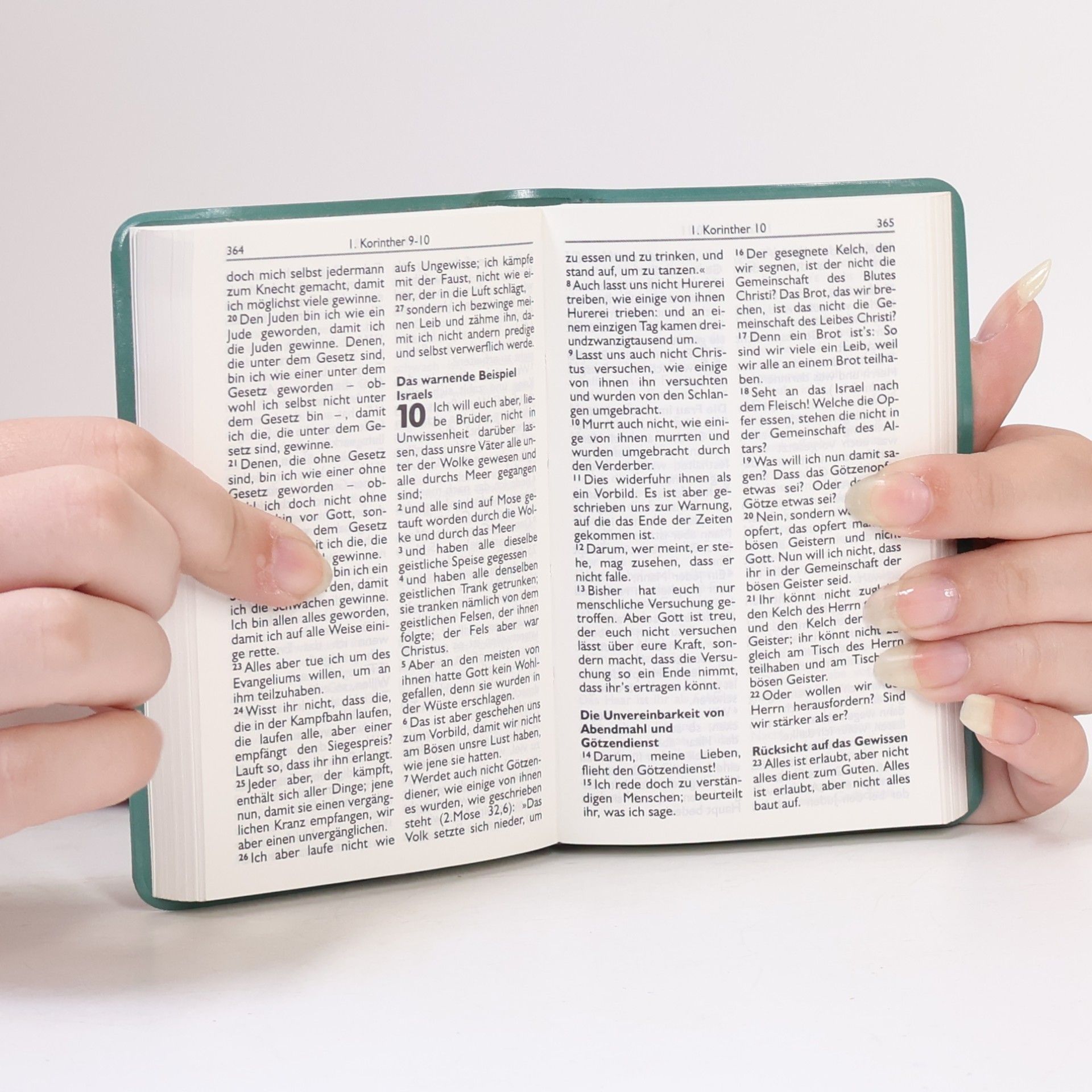 Autores varios Neues Testament