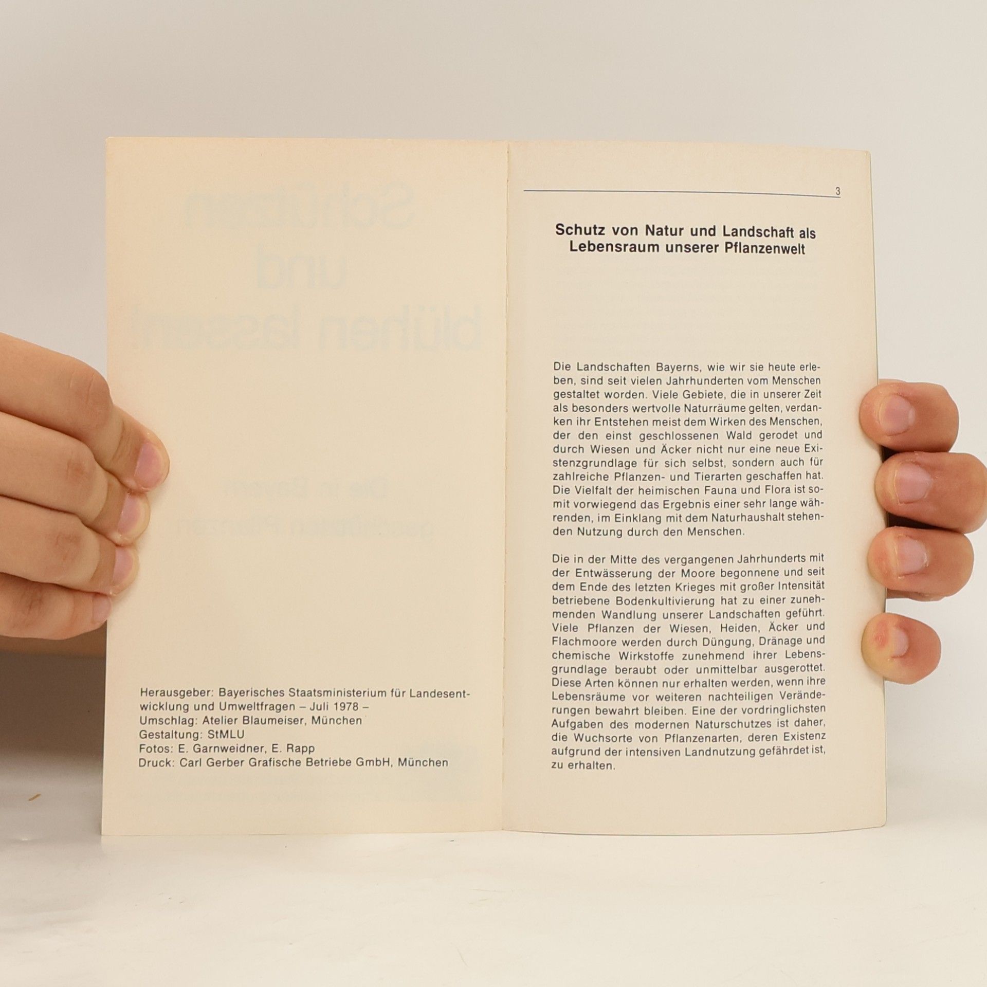 Autorenkollektiv Schützen und blühen lassen! Geschützte Pflanzen