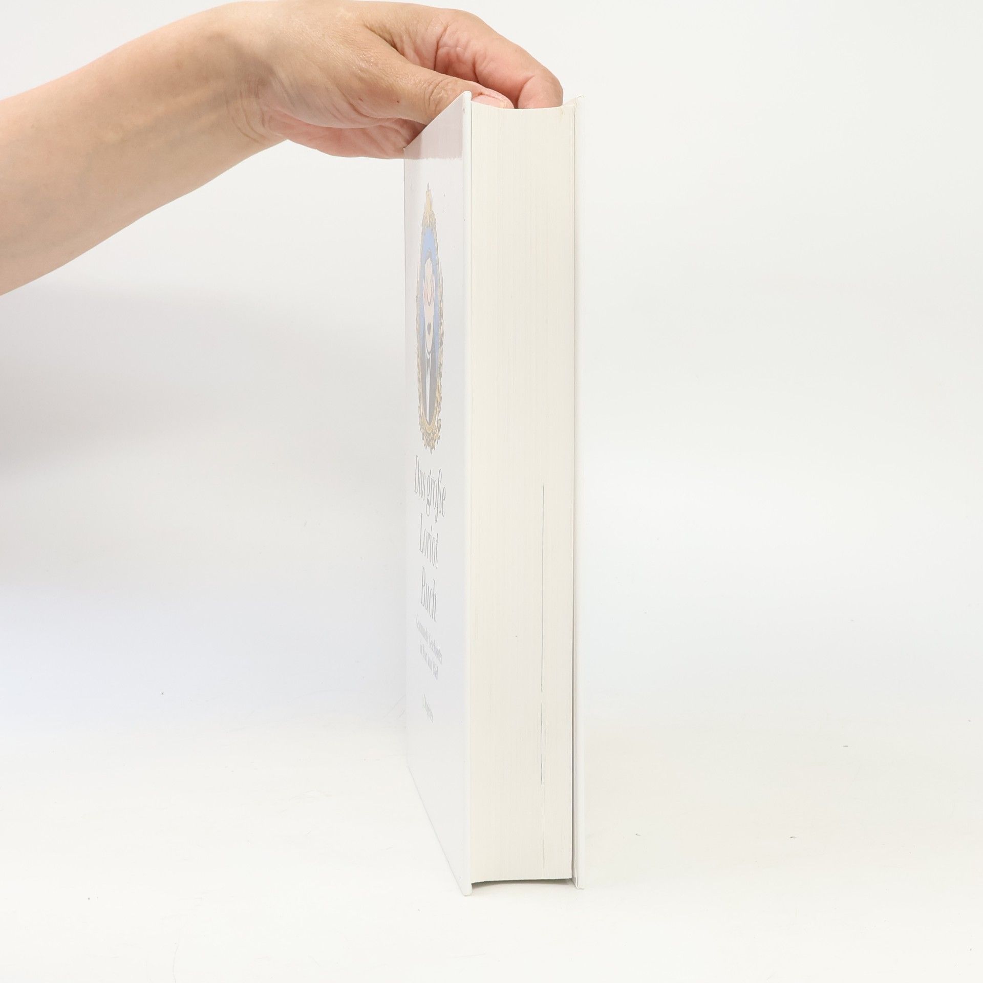 Various authors Das große Loriot Buch
