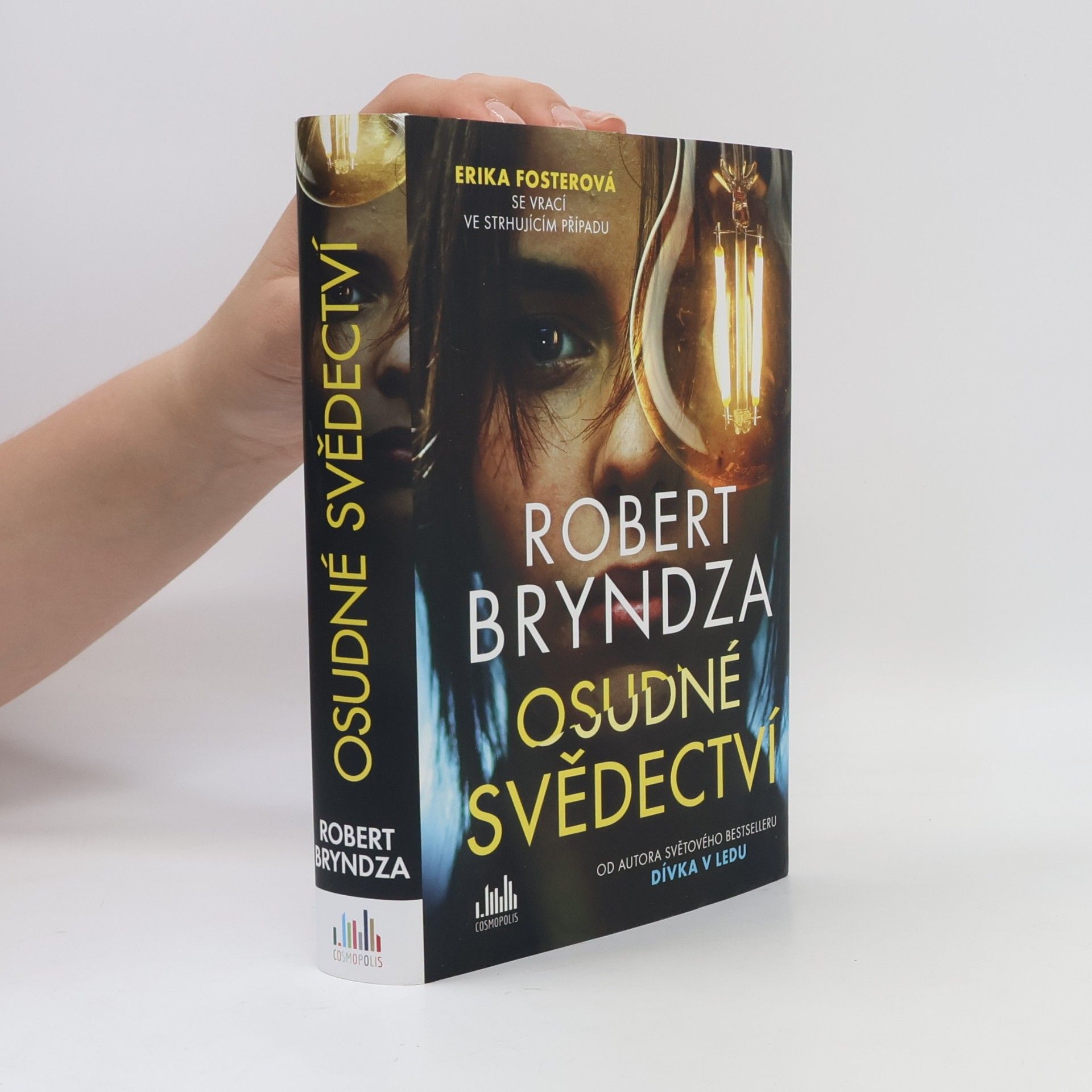 Robert Bryndza Osudné svědectví