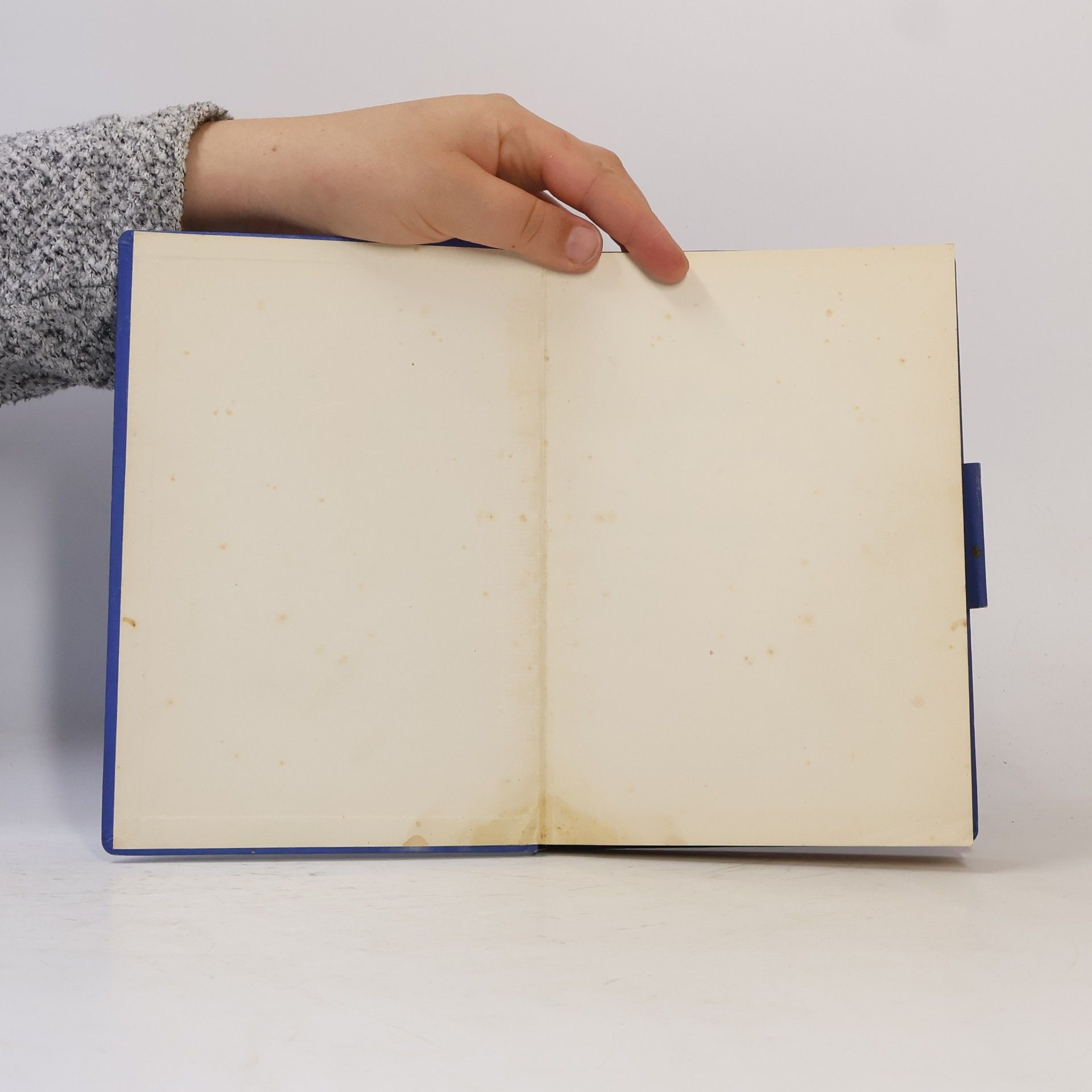 Various authors Meine Kochbuch
