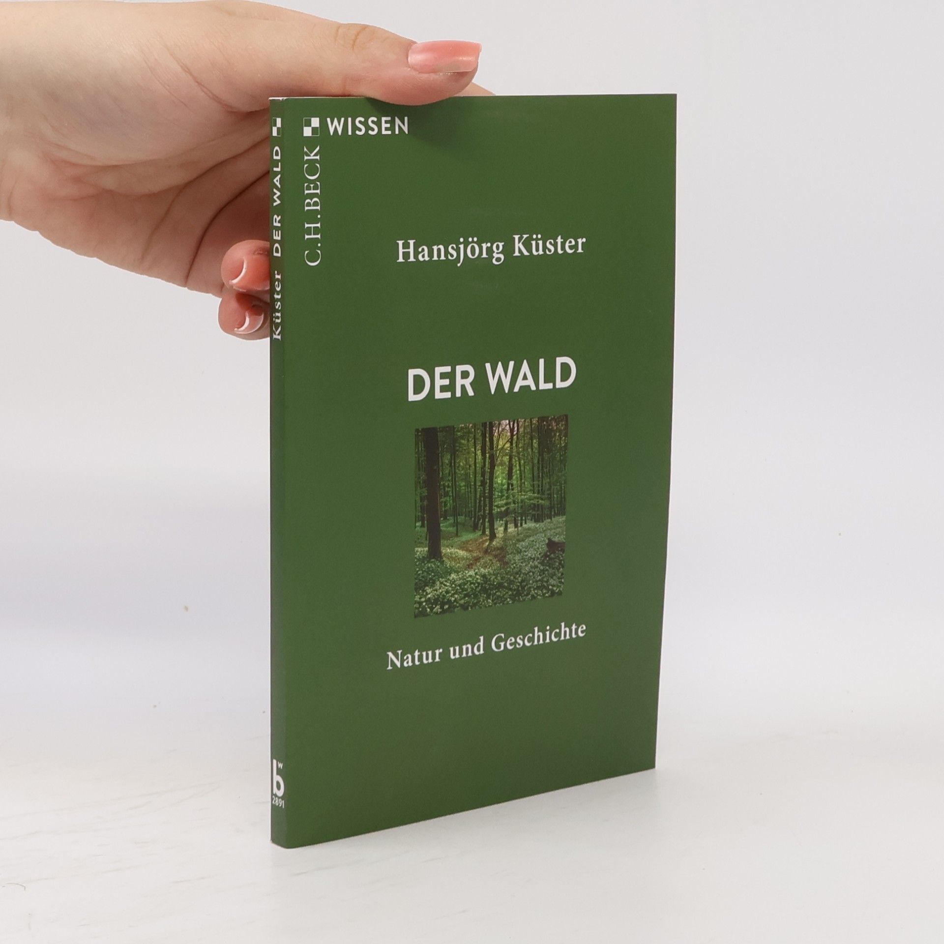 Hansjörg Küster Der Wald