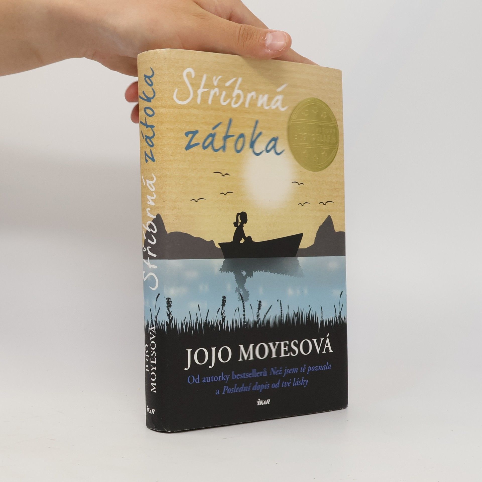 Jojo Moyes Stříbrná zátoka