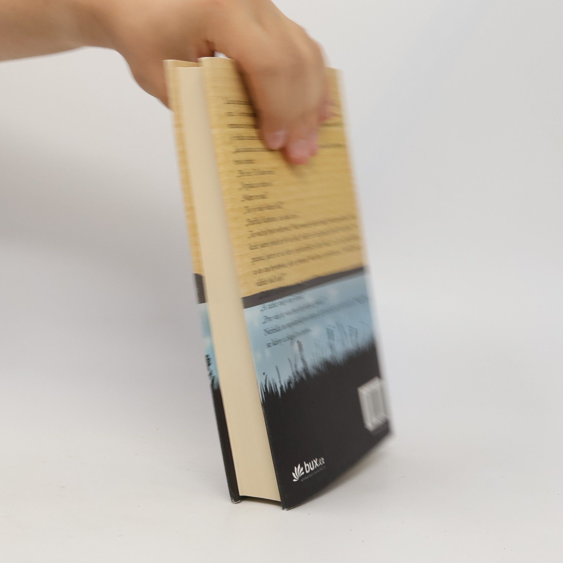 Jojo Moyes Stříbrná zátoka