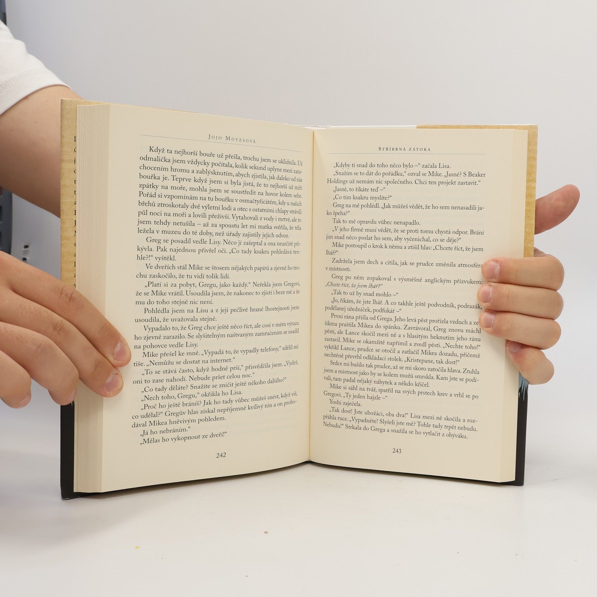 Jojo Moyes Stříbrná zátoka