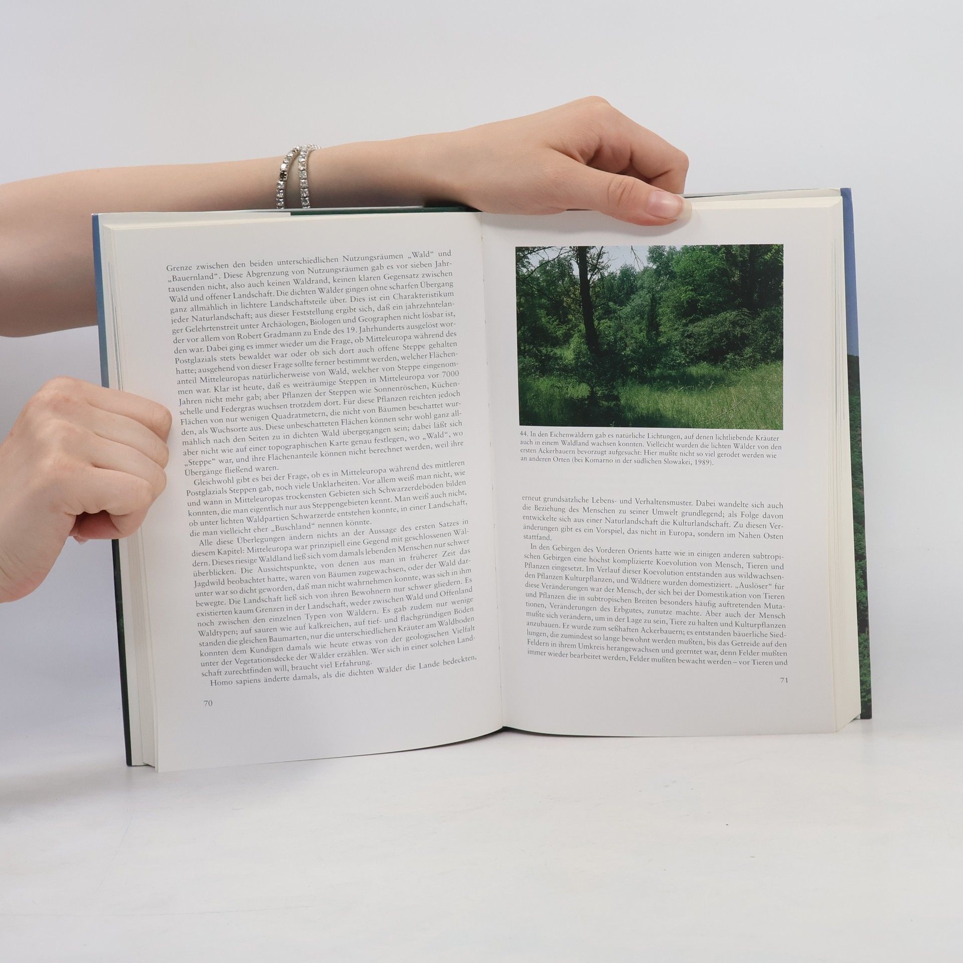 Hansjörg Küster Geschichte der Landschaft in Mitteleuropa