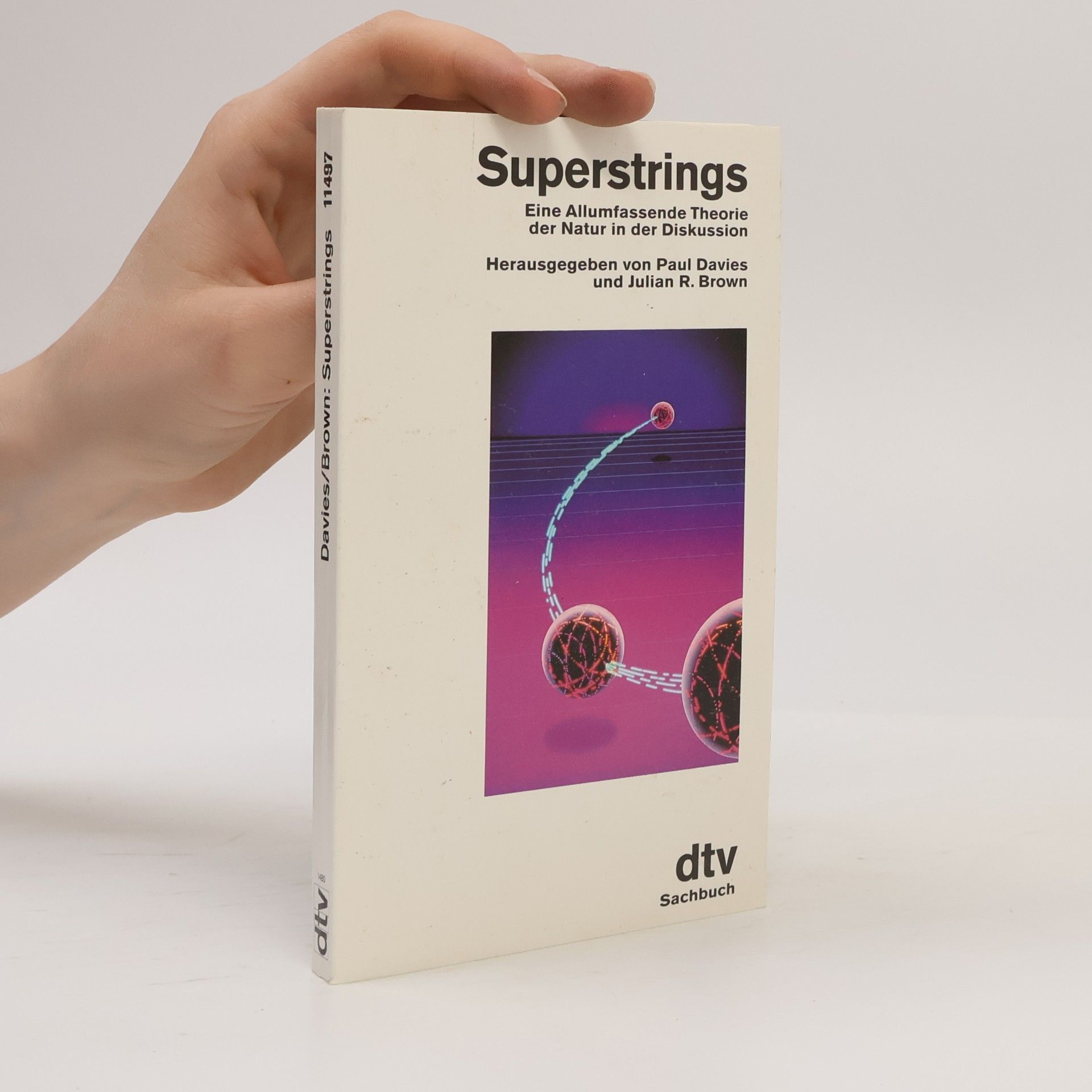 Paul Davies Superstrings
