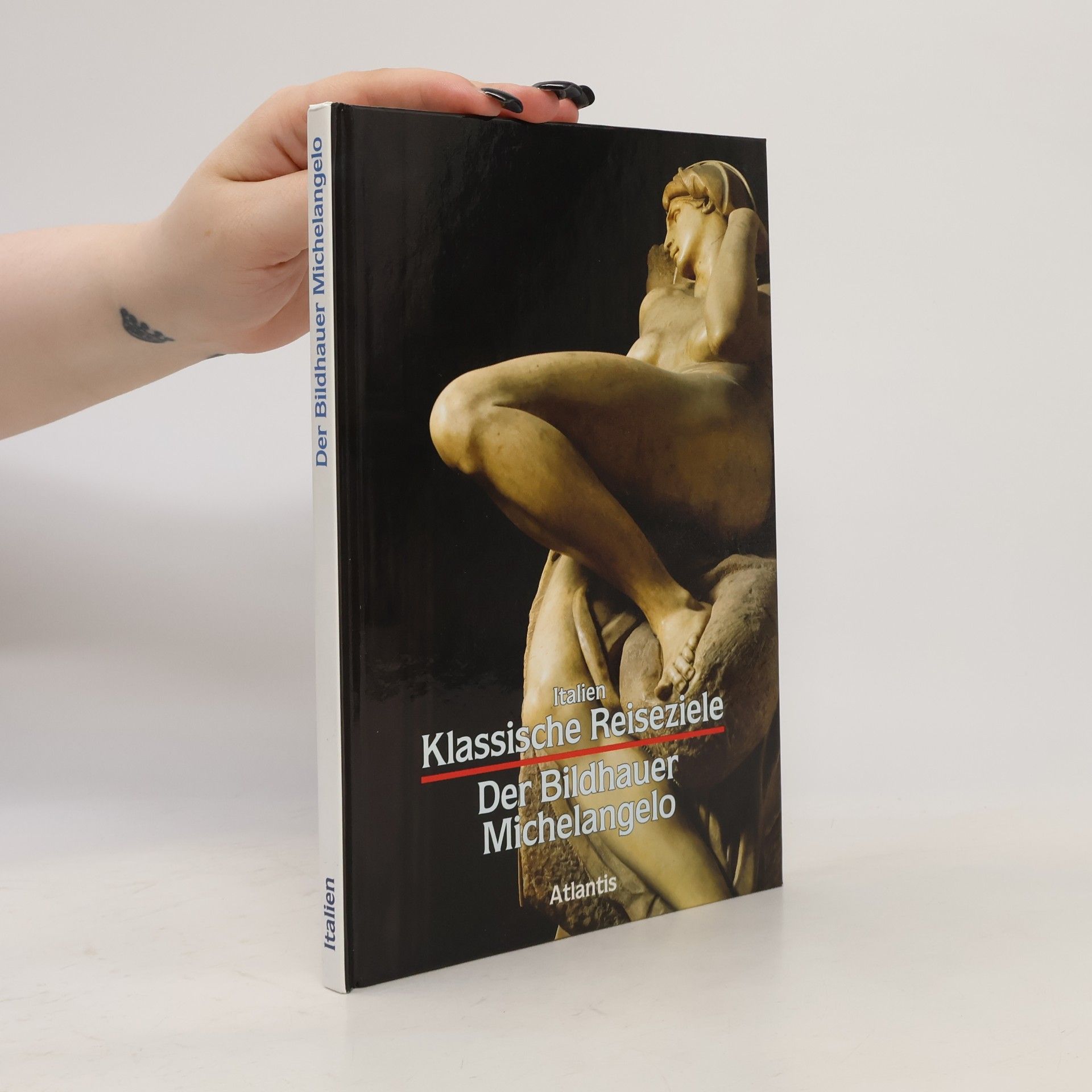 Michelangelo Buonarroti Der Bildhauer Michelangelo