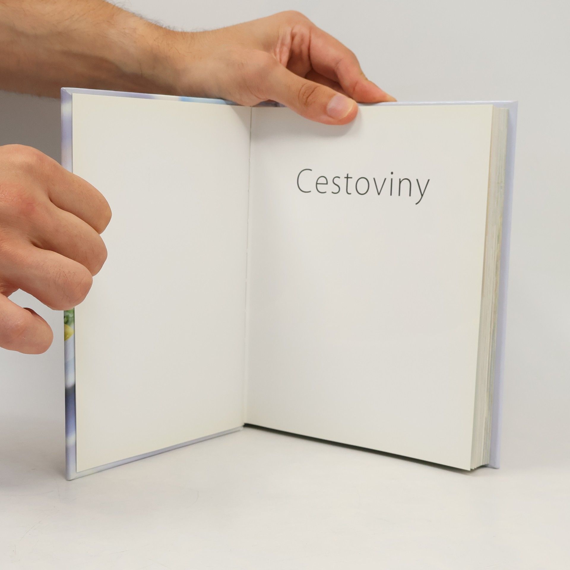 Collectif d'auteurs Cestoviny