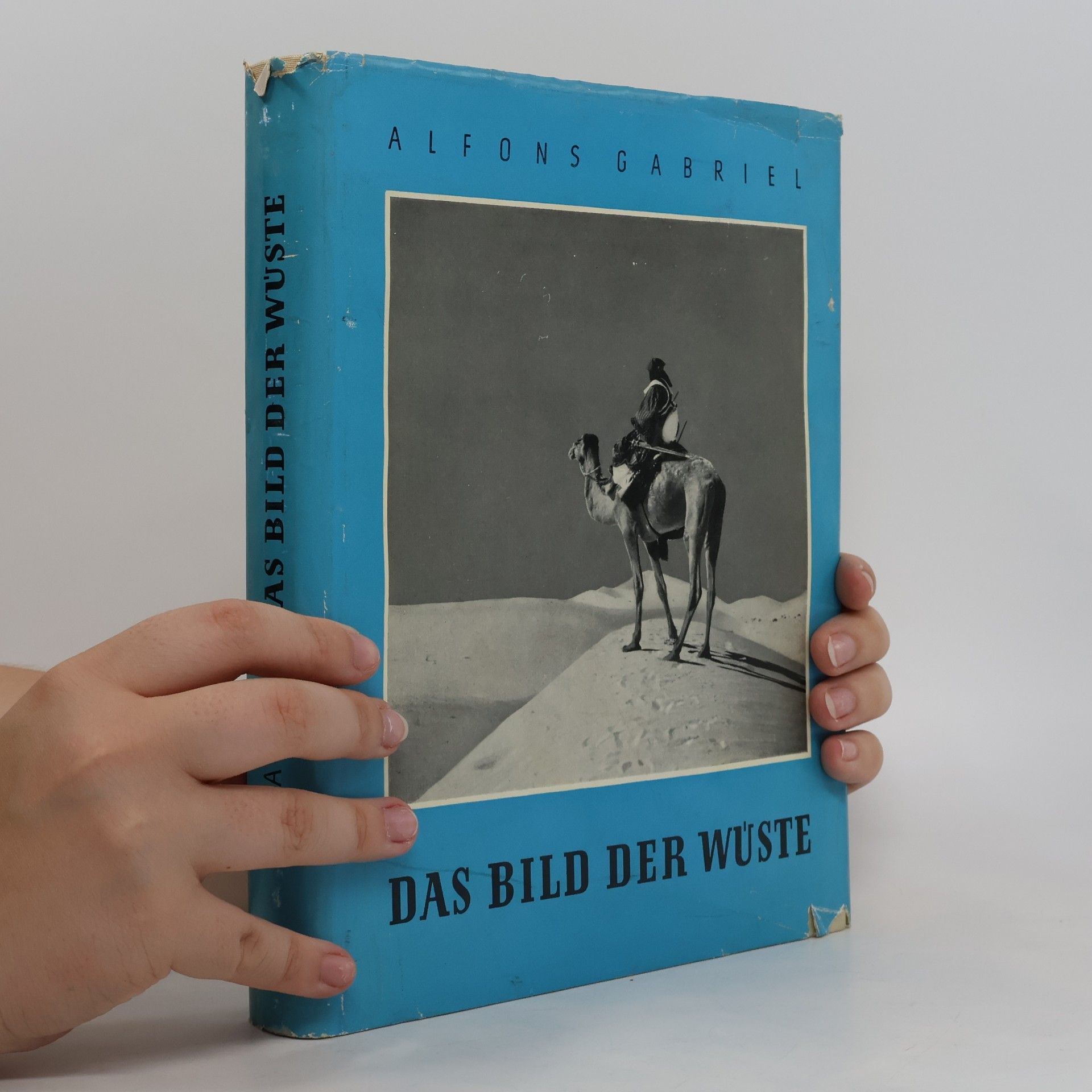 Alfons Gabriel Das Bild der Wüste
