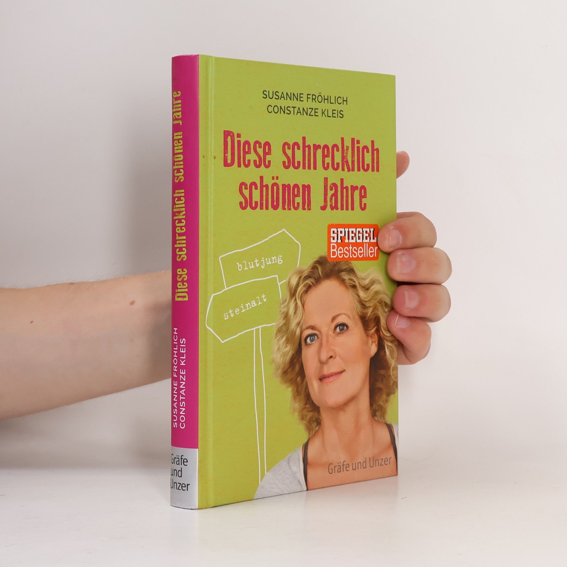 Susanne Fröhlich Diese schrecklich schönen Jahre