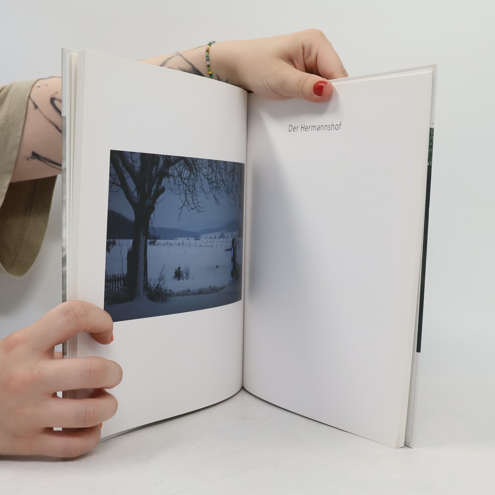 Horst Schäfer Poesie visuell