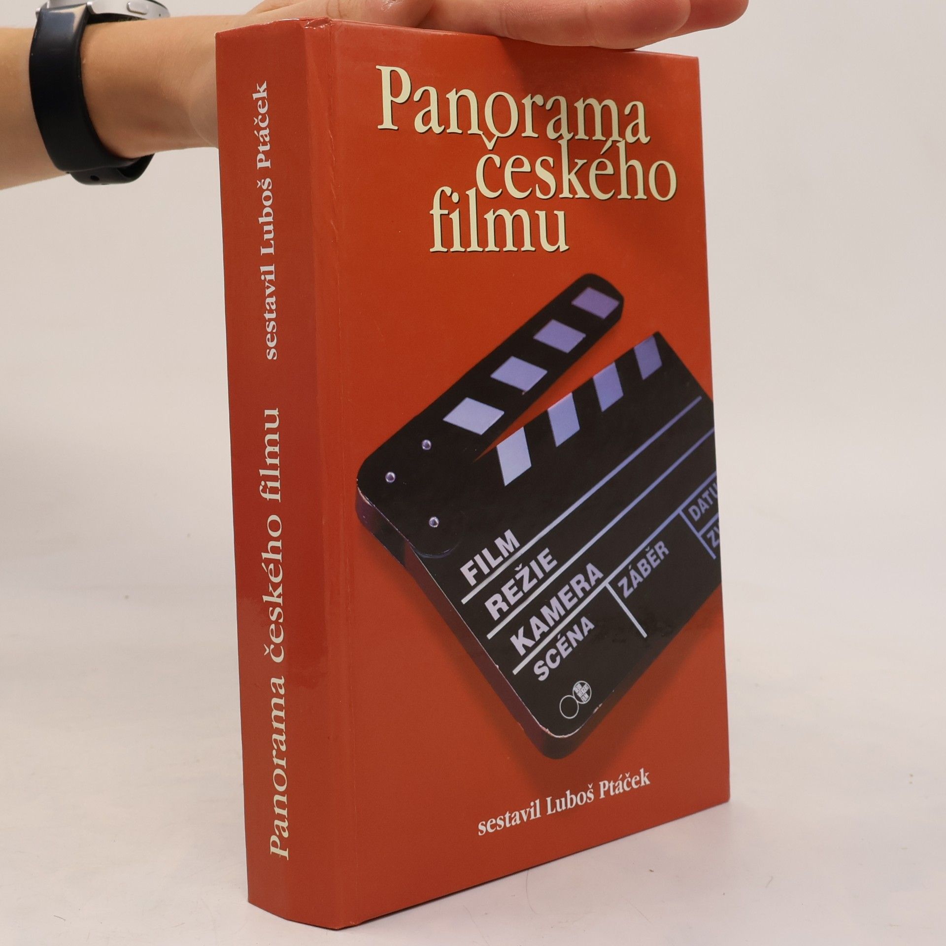 Petr Bilík Panorama českého filmu