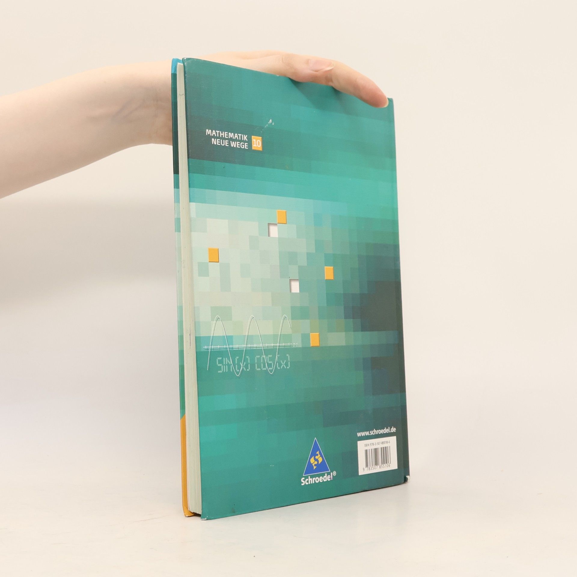 Mathematik Neue Wege SI