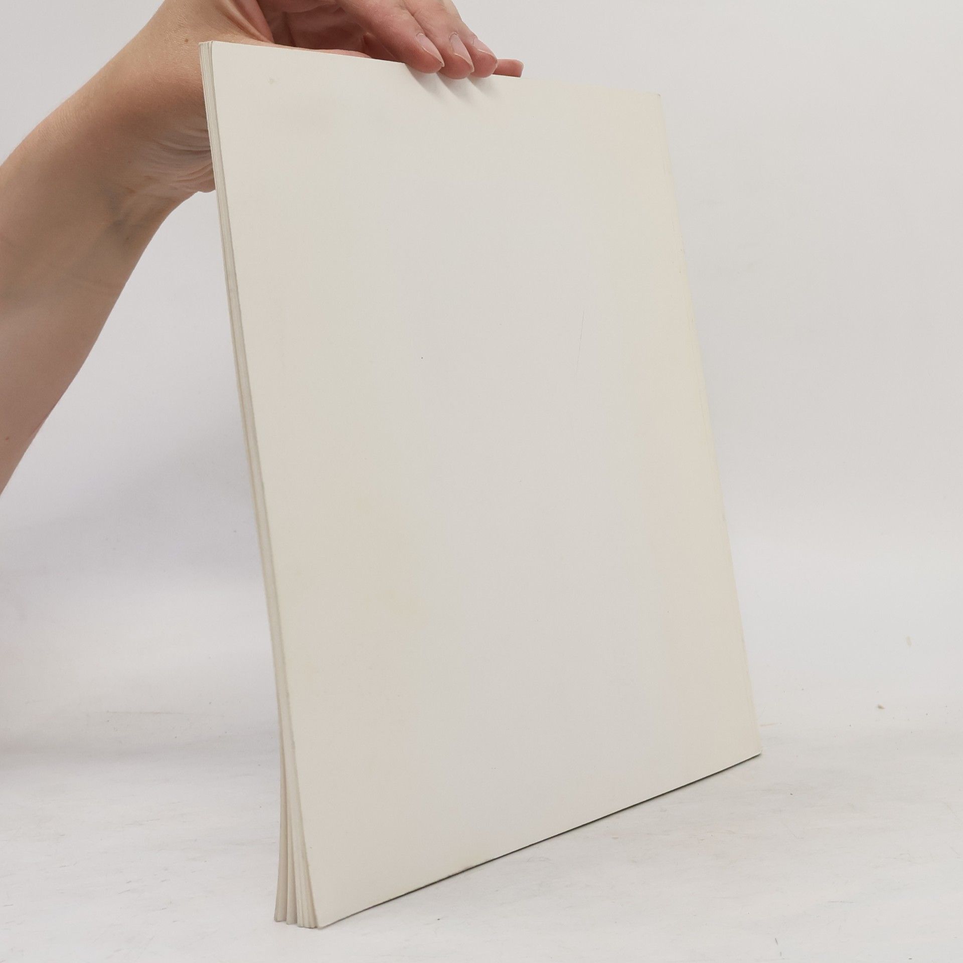 Collectif d'auteurs Nine Masters of Photography