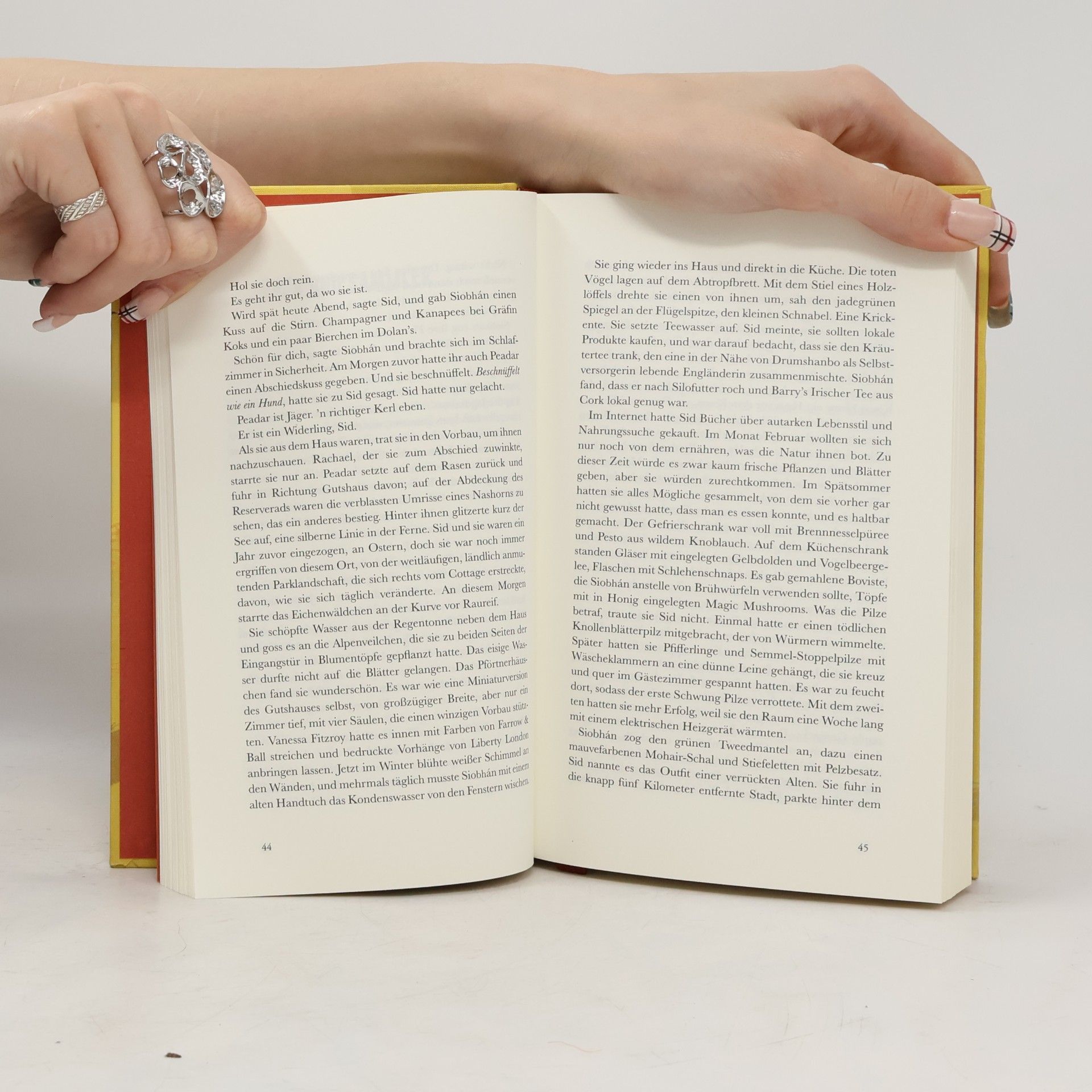 Louise Kennedy Das Ende der Welt ist eine Sackgasse