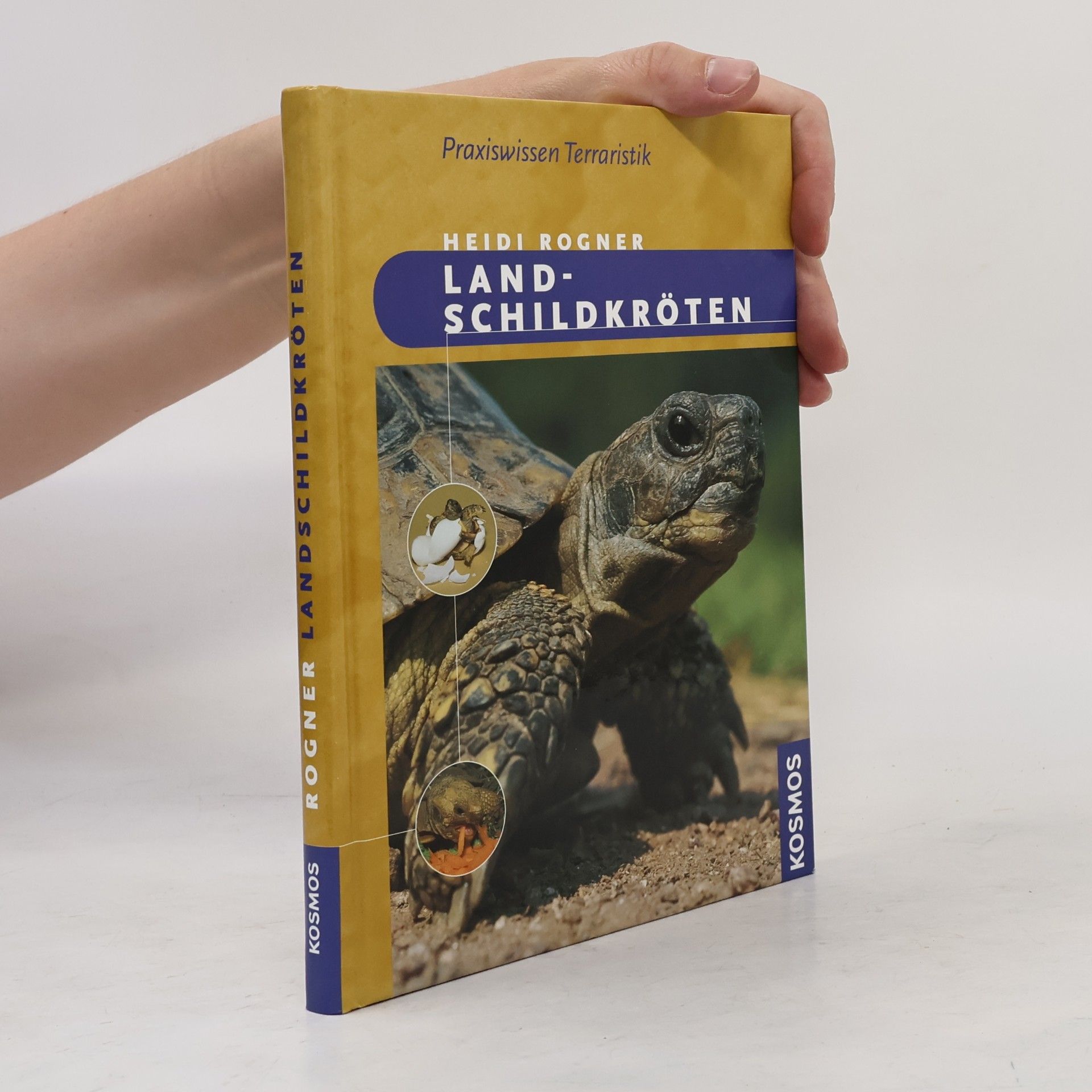 Heidi Rogner Landschildkröten