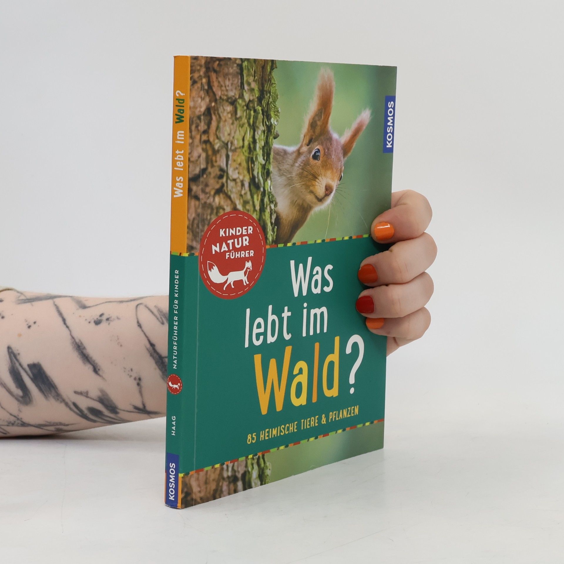 Was lebt im Wald?
