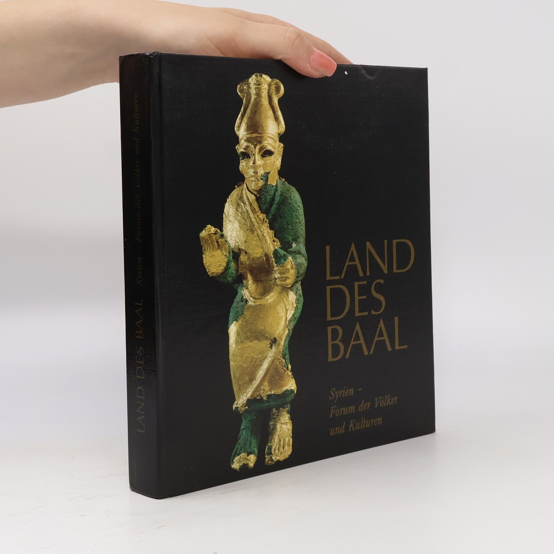 Kay Kohlmeyer Land des Baal