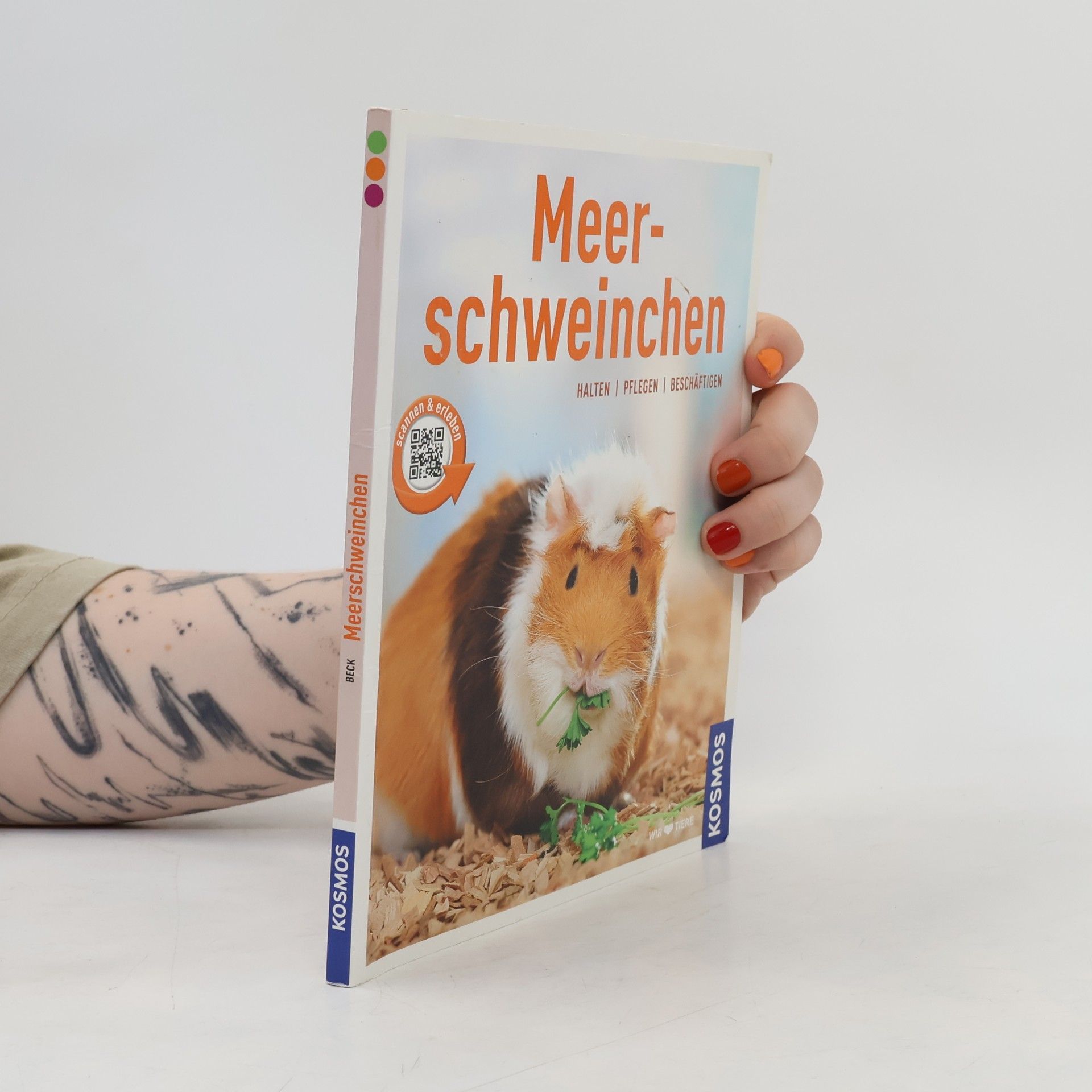 Angela Beck Meerschweinchen