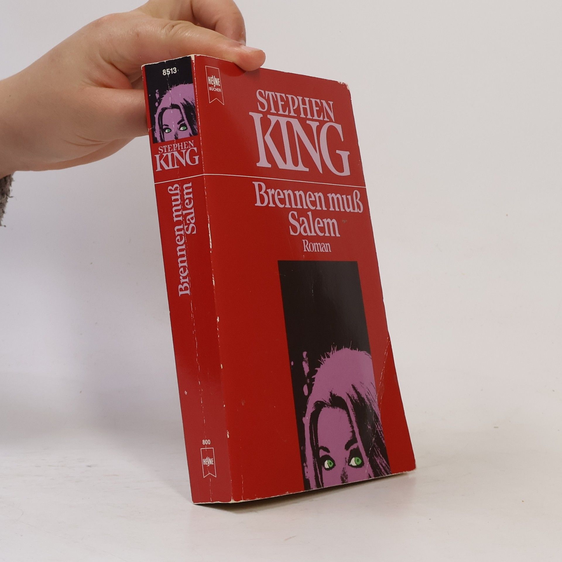 Stephen King Brennen muss Salem