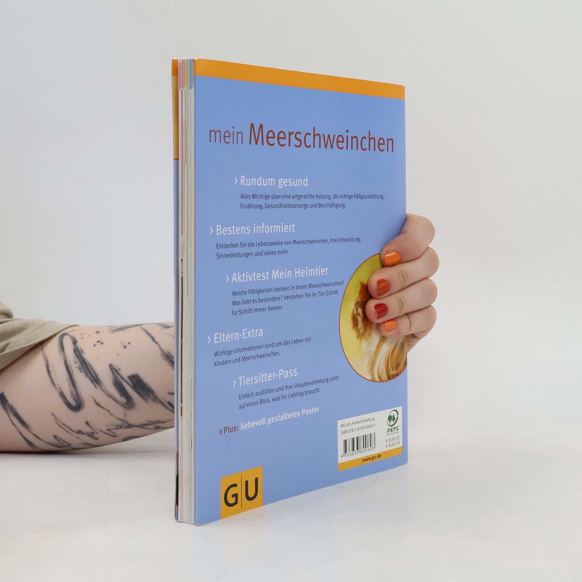 Immanuel Birmelin Mein Meerschweinchen