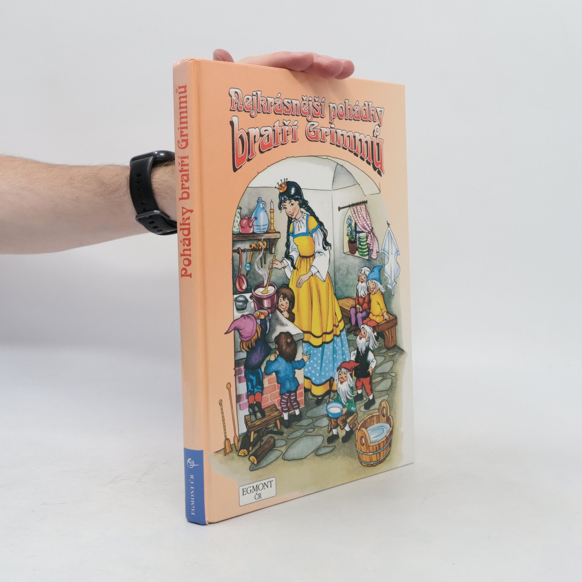 Jacob Grimm Nejkrásnější pohádky bratří Grimmů