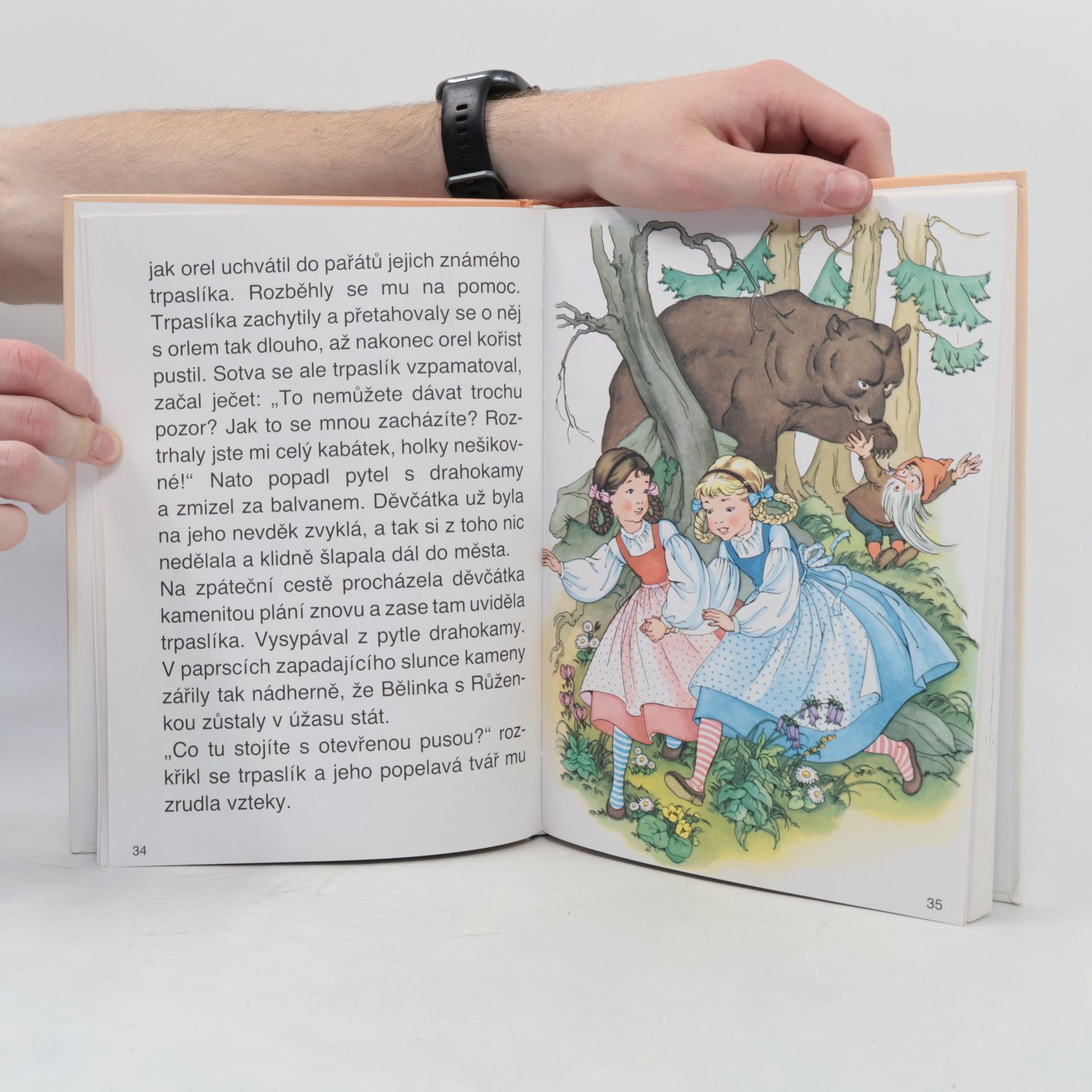 Jacob Grimm Nejkrásnější pohádky bratří Grimmů