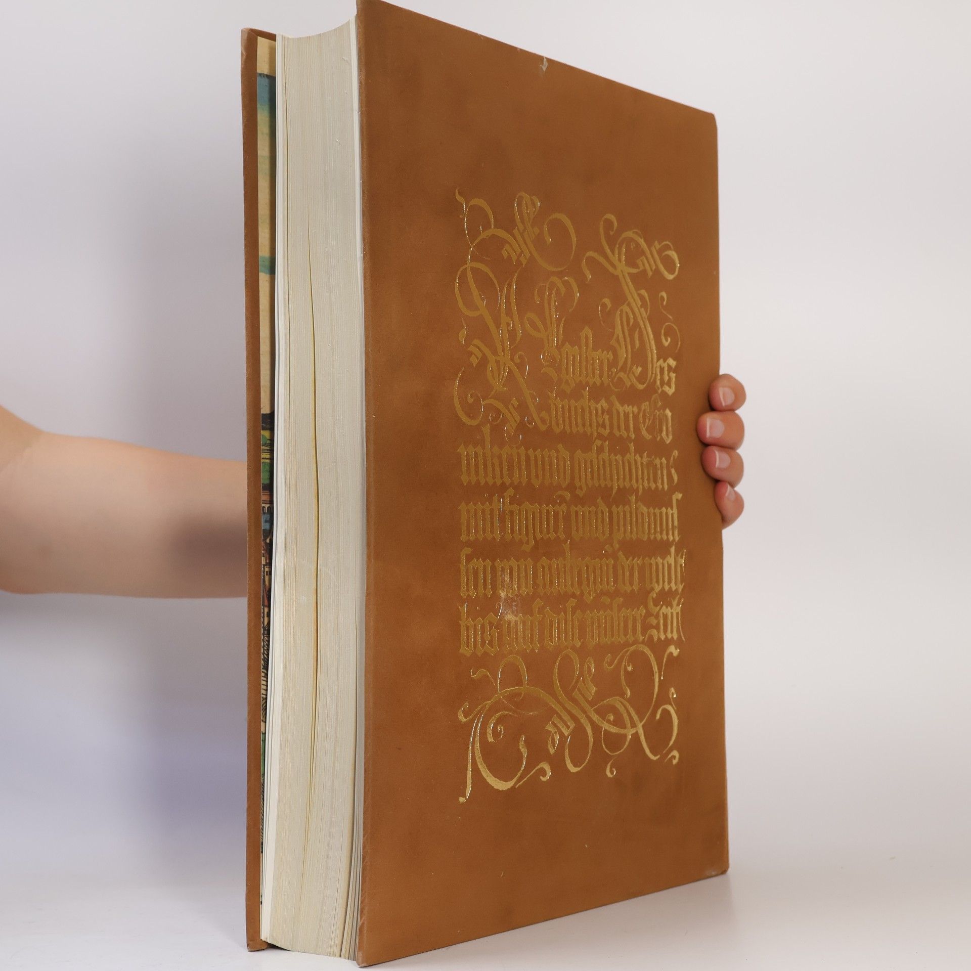 Hartmann Schedel La chronique universelle de Nuremberg. L'édition de 1493, coloriée et commentée