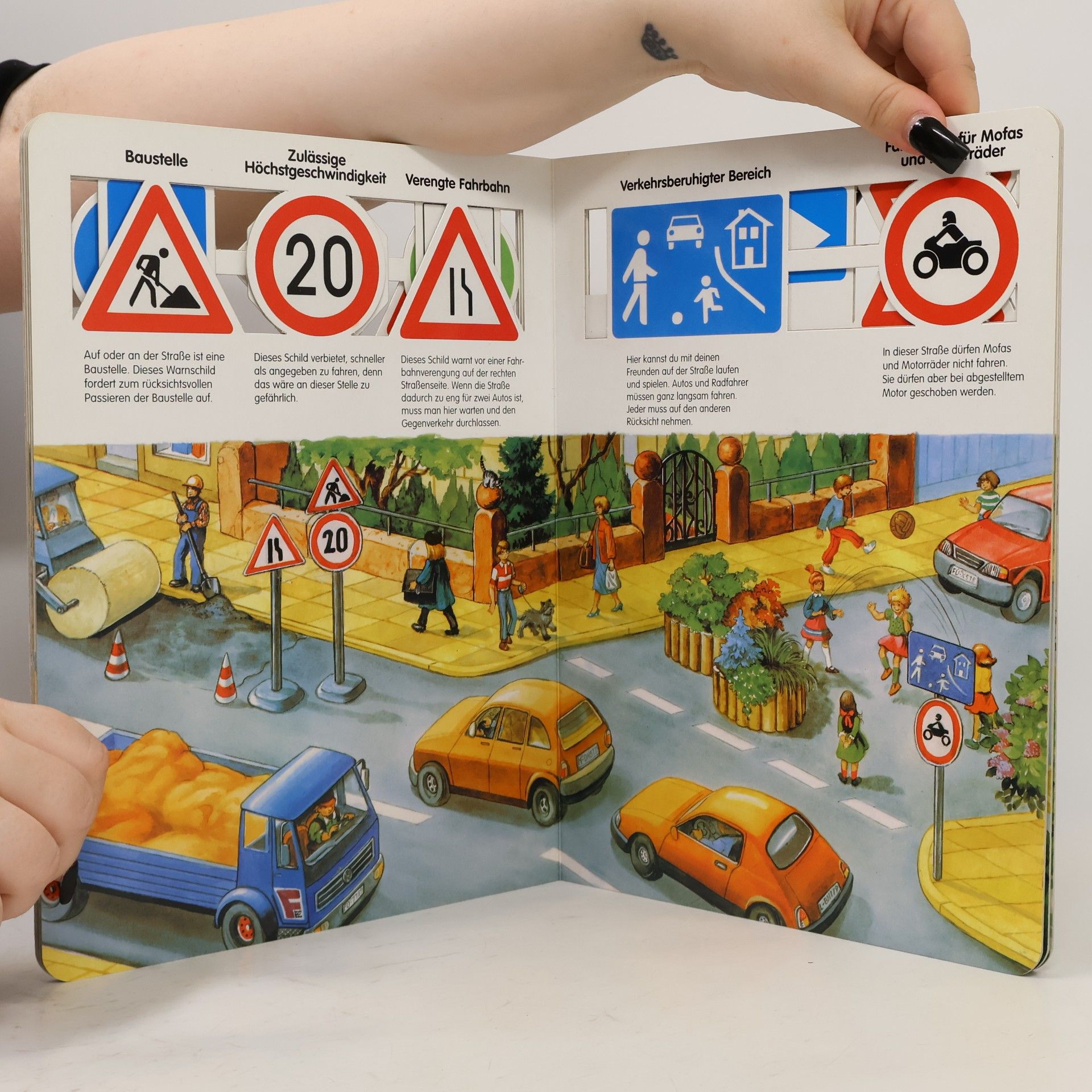 Anne Suess Das große Verkehrsbuch