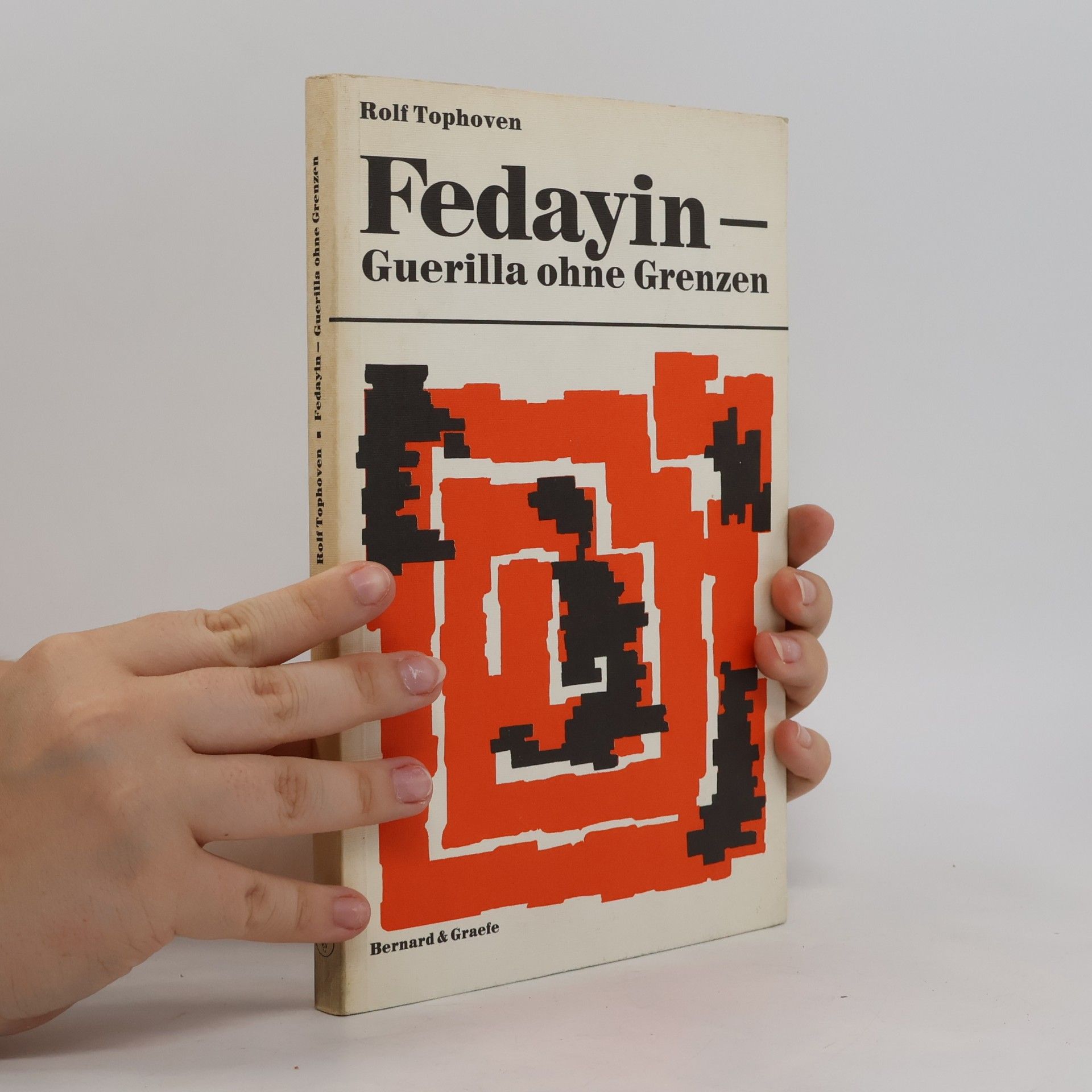 Fedayin, Guerilla ohne Grenzen