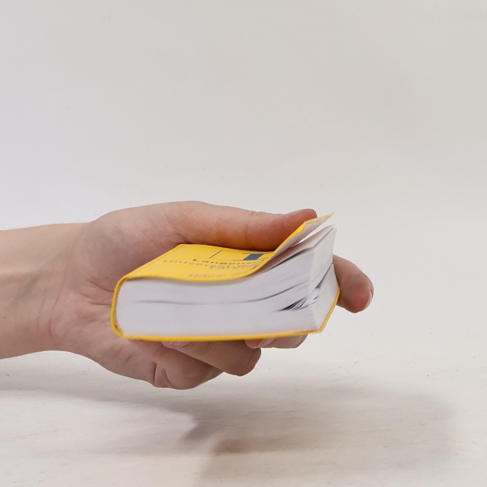 Ingrid Lenz Aktas Langenscheidt, Universal-Wörterbuch Türkisch
