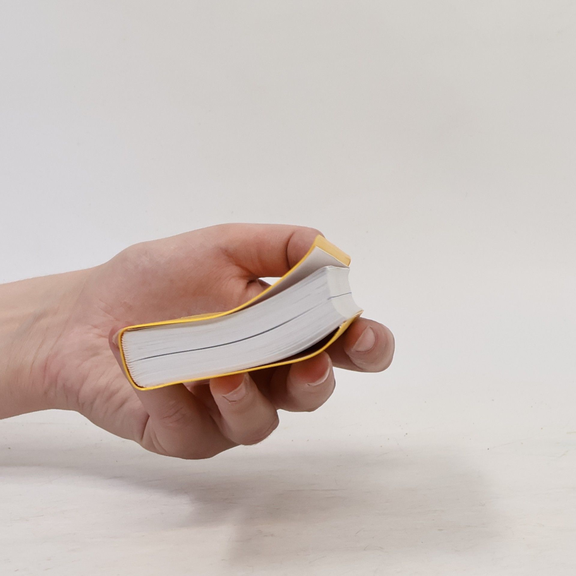 Susanne Brudermüller Langenscheidt, Universal-Wörterbuch Polnisch