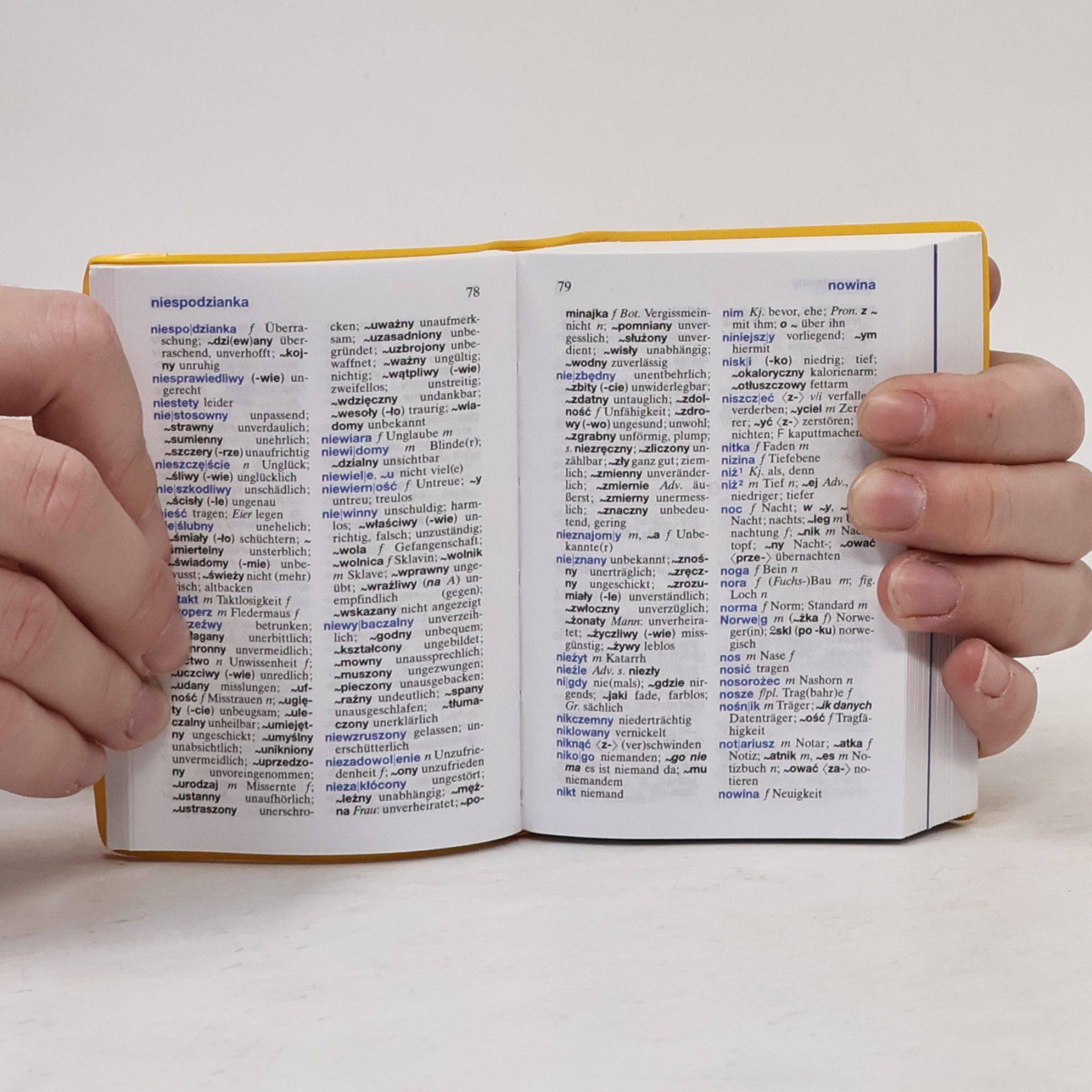 Susanne Brudermüller Langenscheidt, Universal-Wörterbuch Polnisch