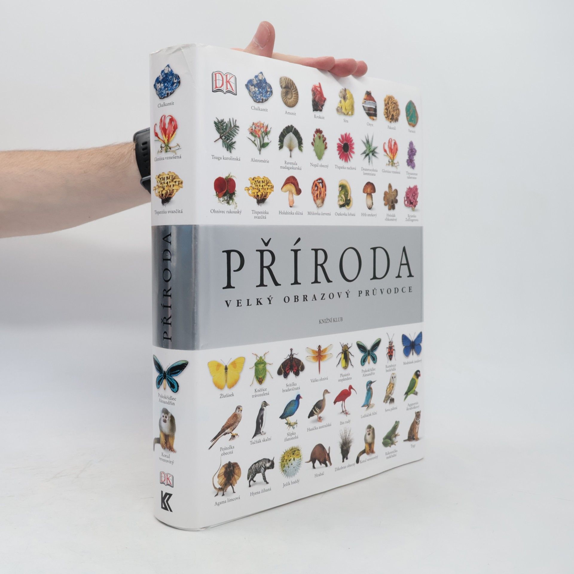 Richard Beatty Příroda – Velký obrazový průvodce