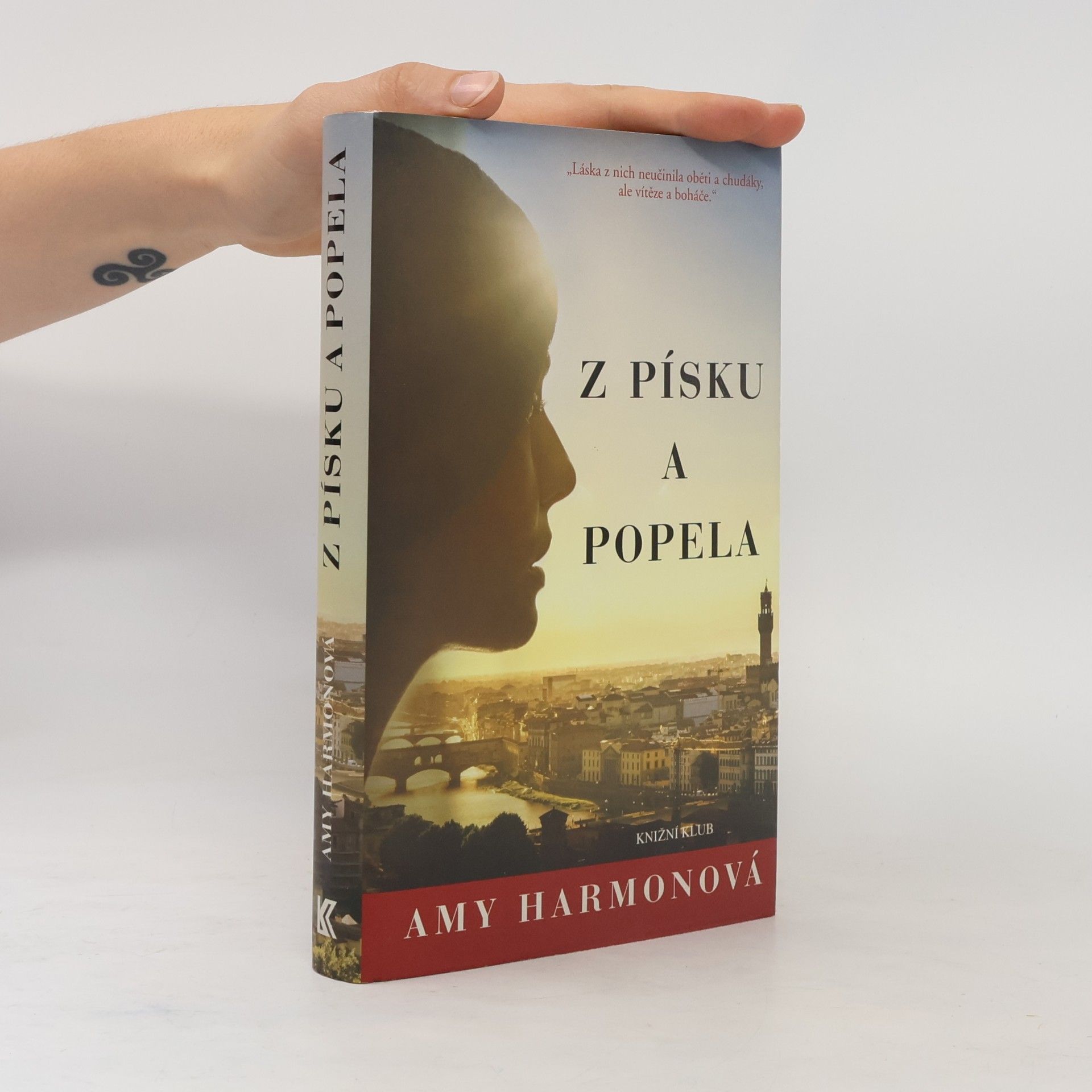 Amy Harmon Z písku a popela