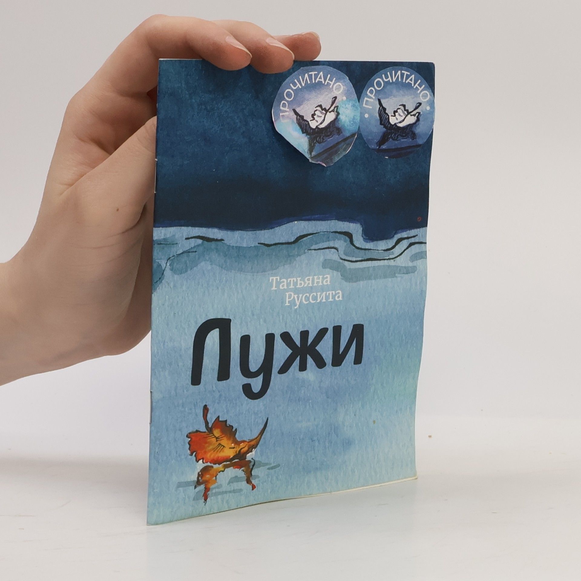 Лужи