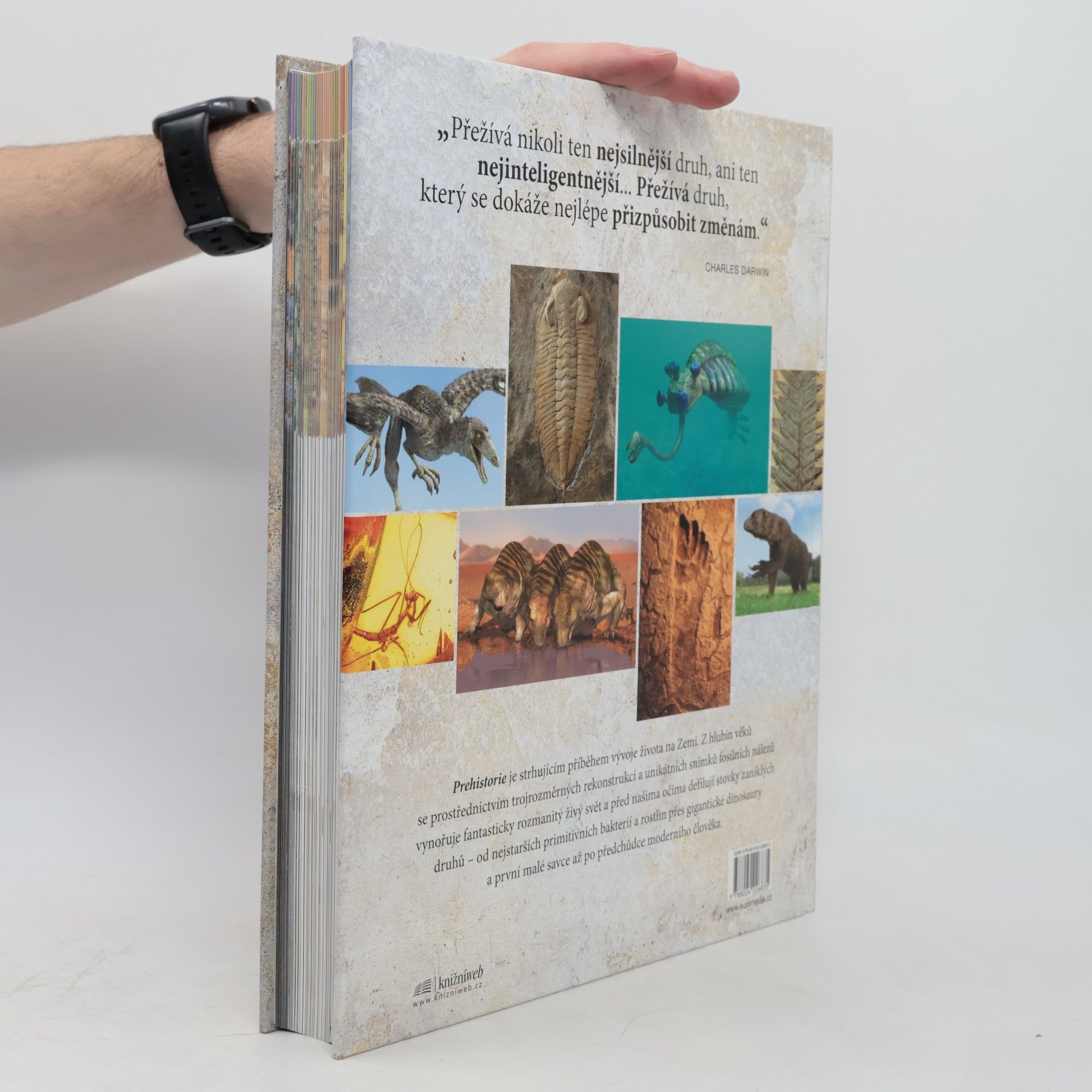 Douglas Palmer Prehistorie