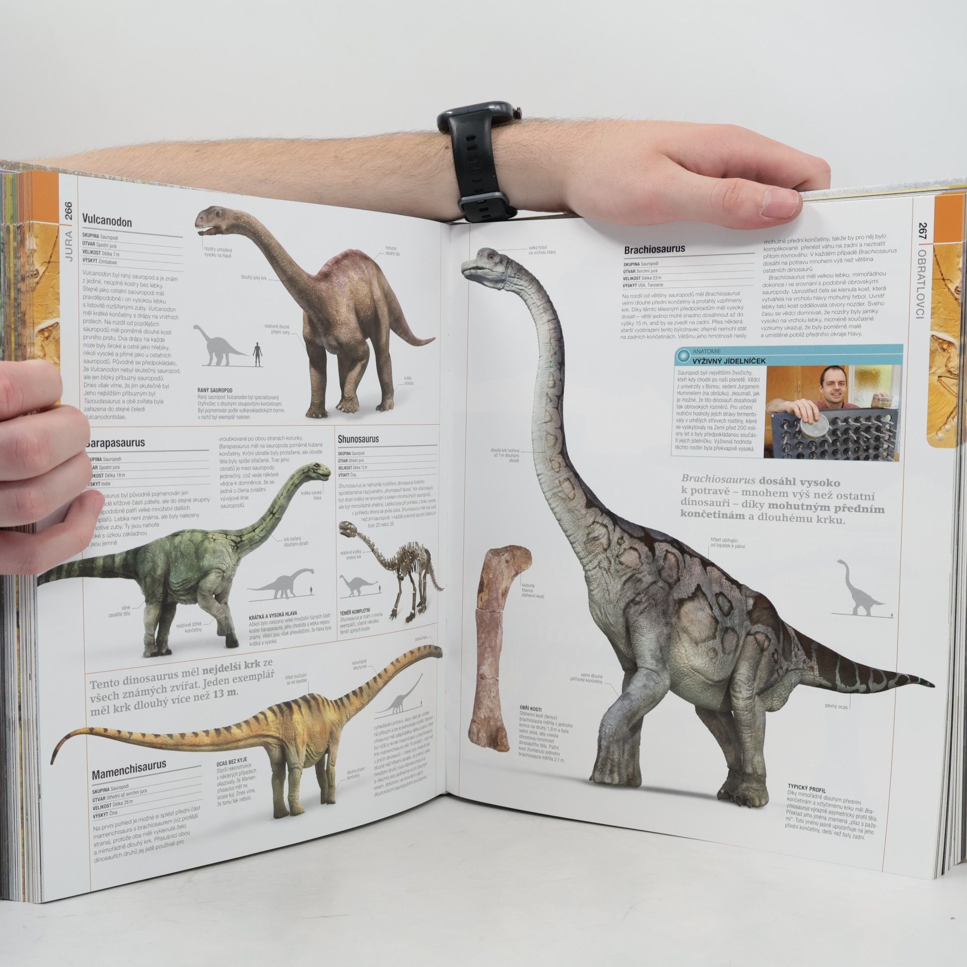 Douglas Palmer Prehistorie