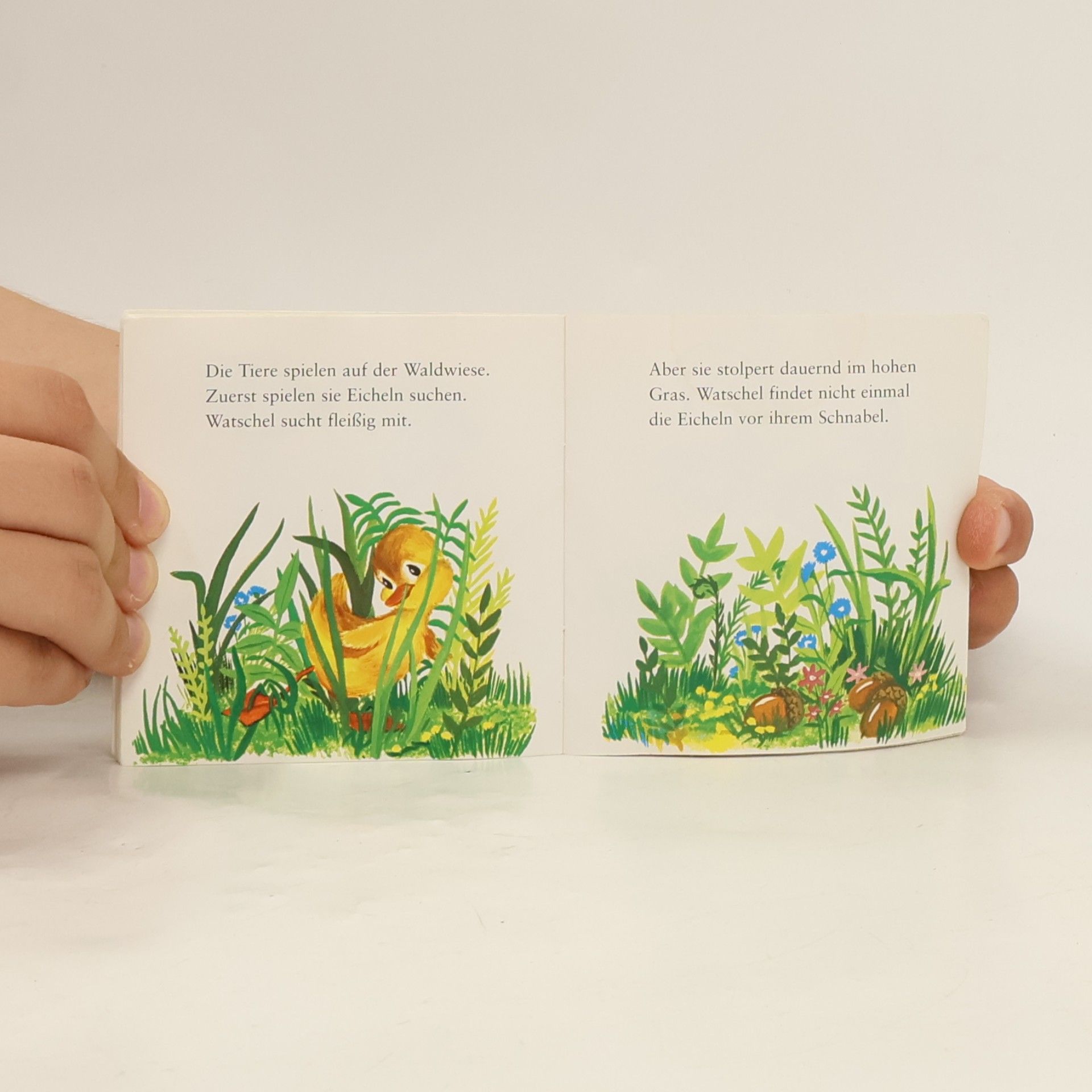 Autorenkollektiv Pixi Bücher. In Ponygarten