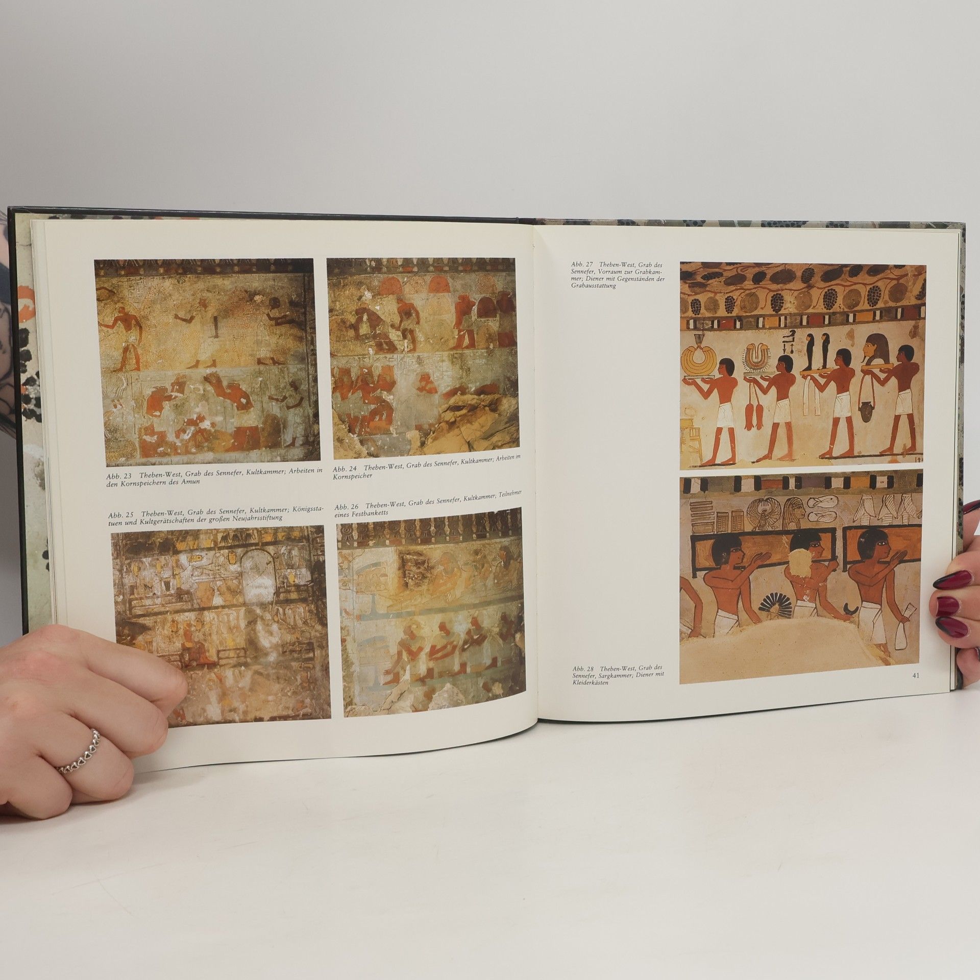 Christiane Desroches Noblecourt Sen-nefer. Die Grabkammer des Bürgermeisters von Theben. Katalog- Handbuch.