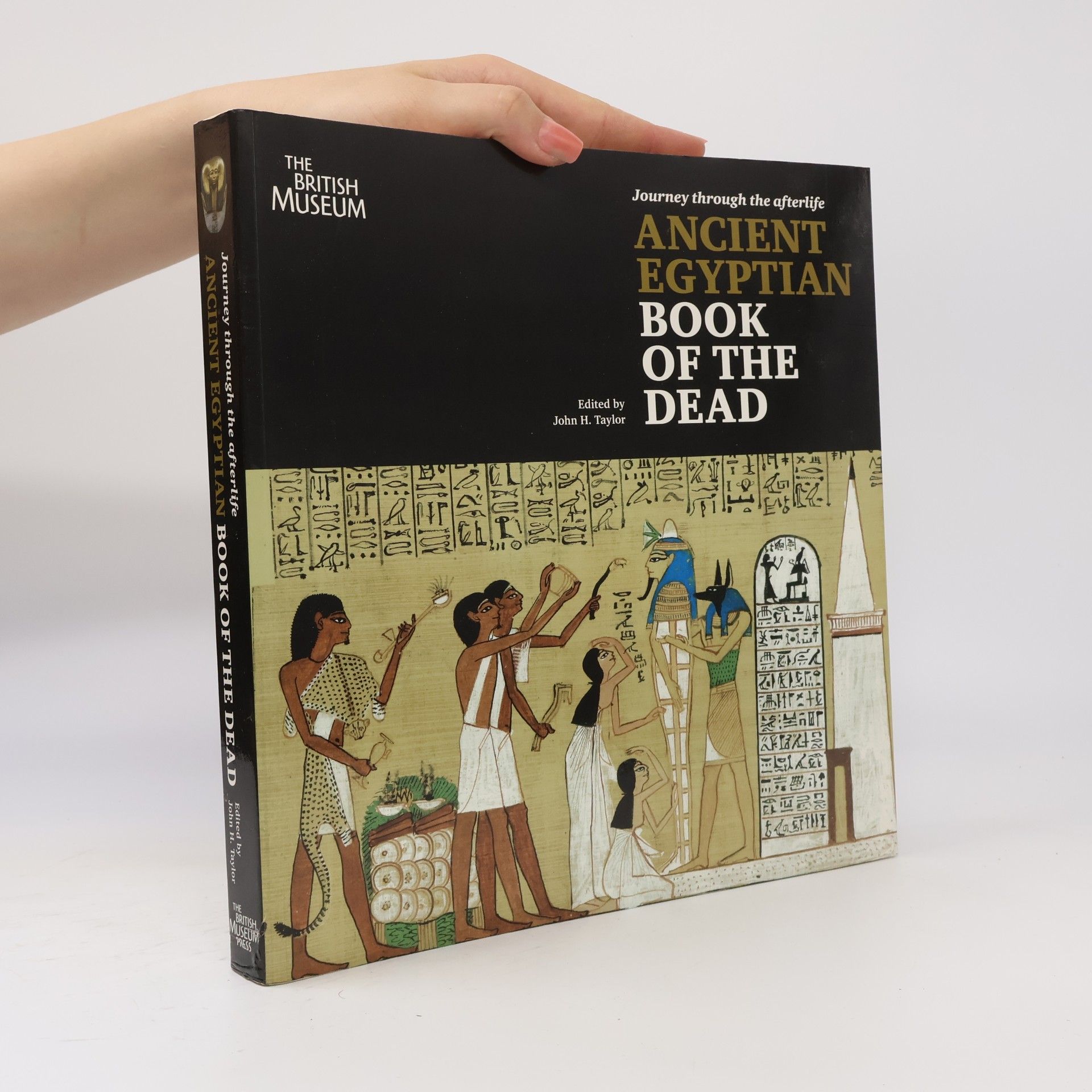 Collectif d'auteurs Journey Throught the Afterlife Ancient Egypt Book of the Dead /anglais
