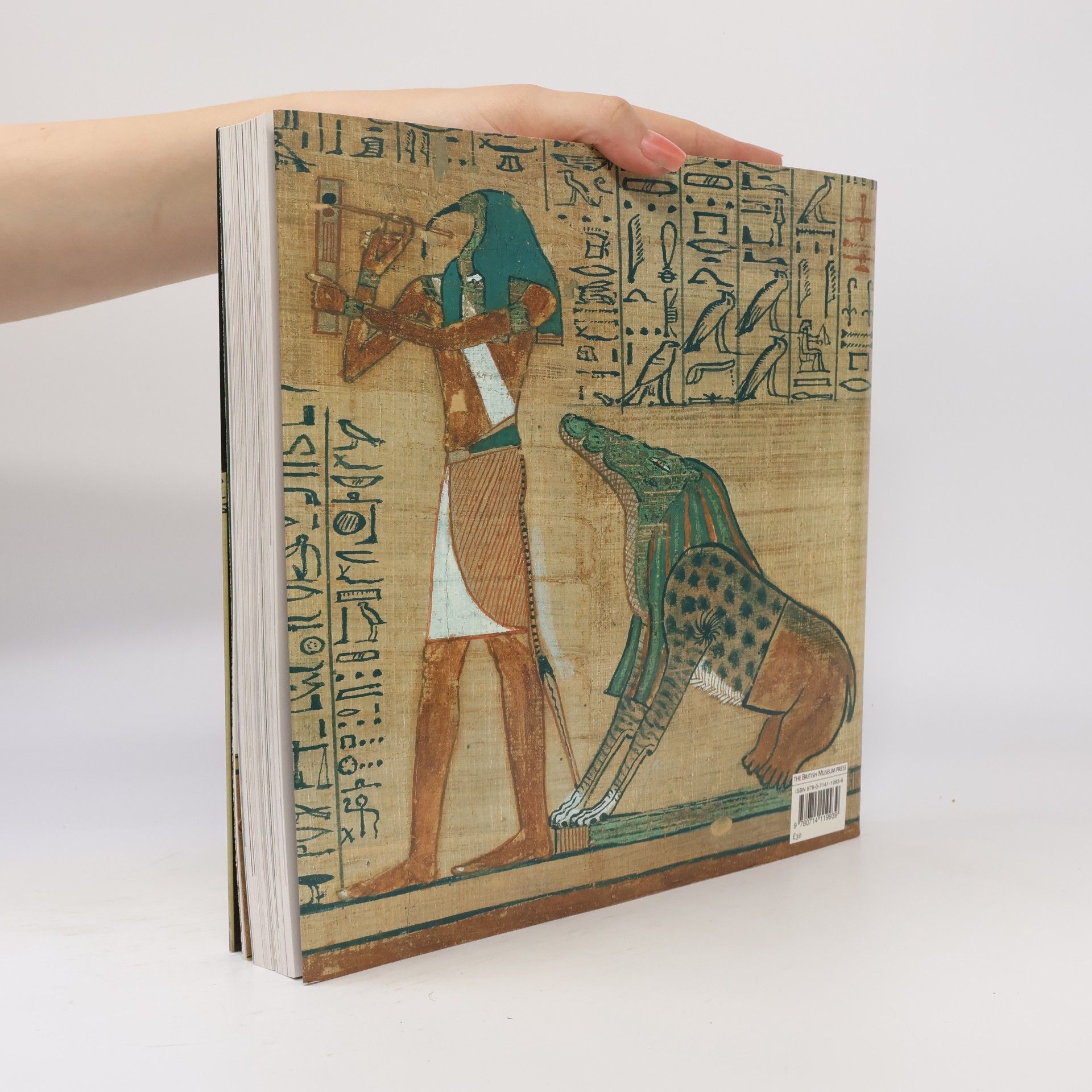 Collectif d'auteurs Journey Throught the Afterlife Ancient Egypt Book of the Dead /anglais