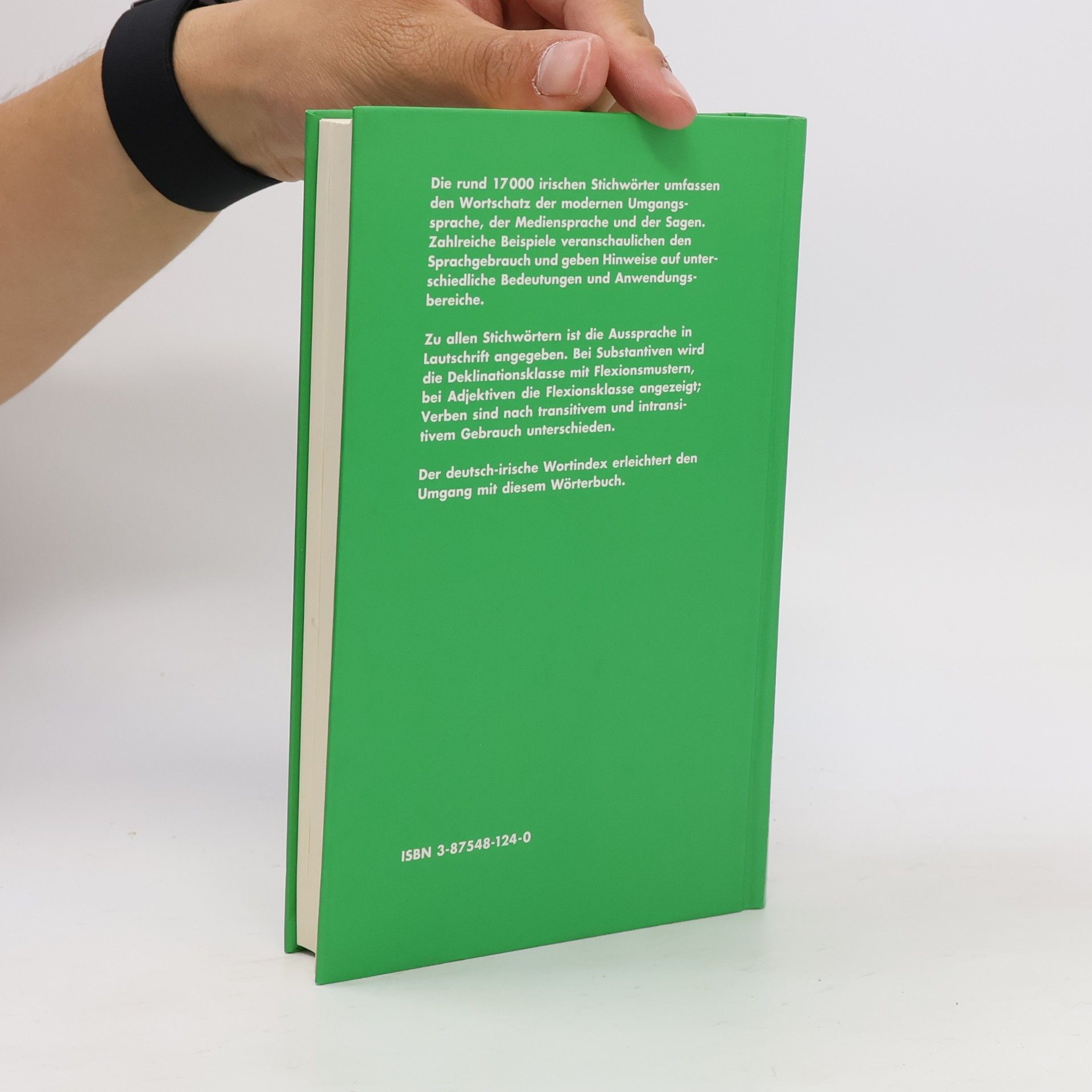 Thomas Feito Caldas Wörterbuch Irisch-Deutsch