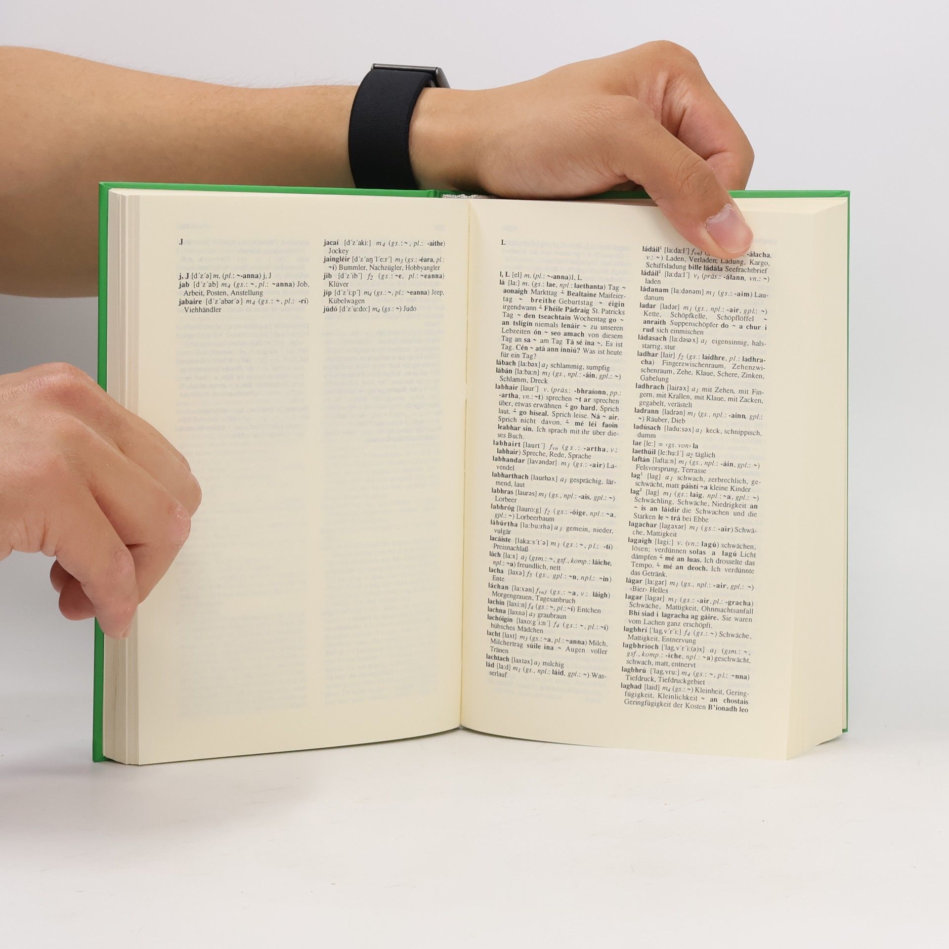 Thomas Feito Caldas Wörterbuch Irisch-Deutsch