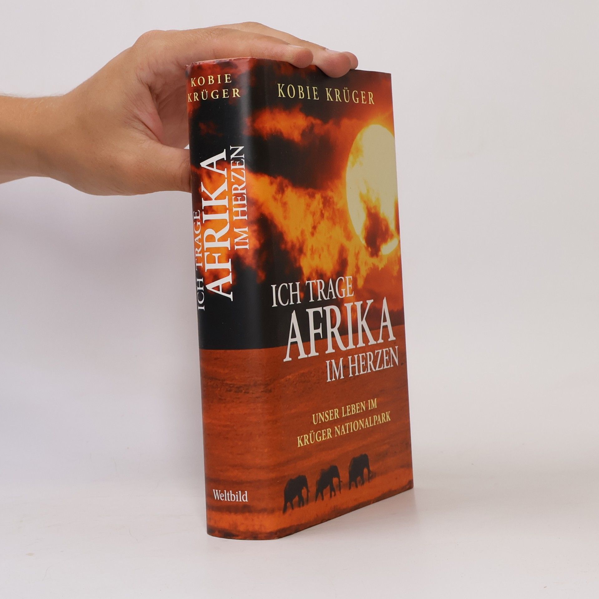 Kobie Krüger Ich trage Afrika im Herzen