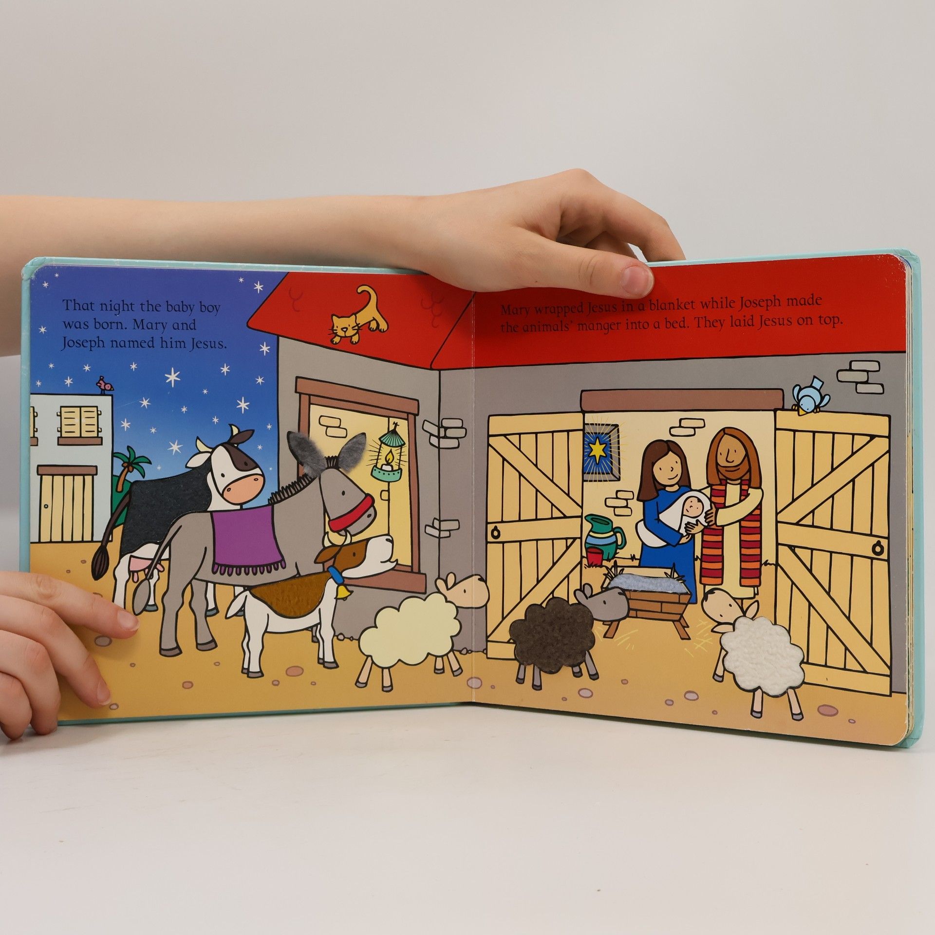 Watt. Fiona. The Nativity