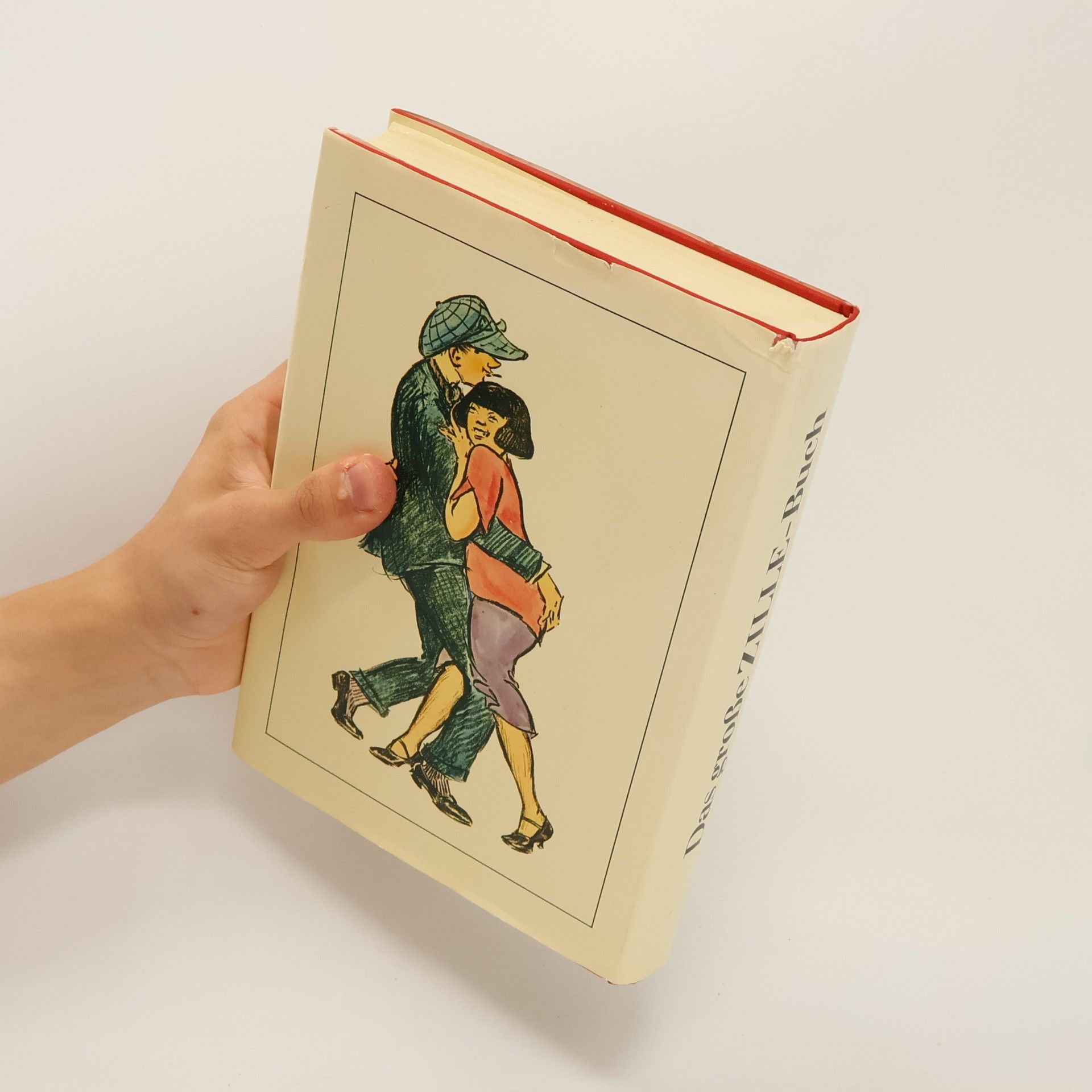Heinrich Zille Das große Zille Buch
