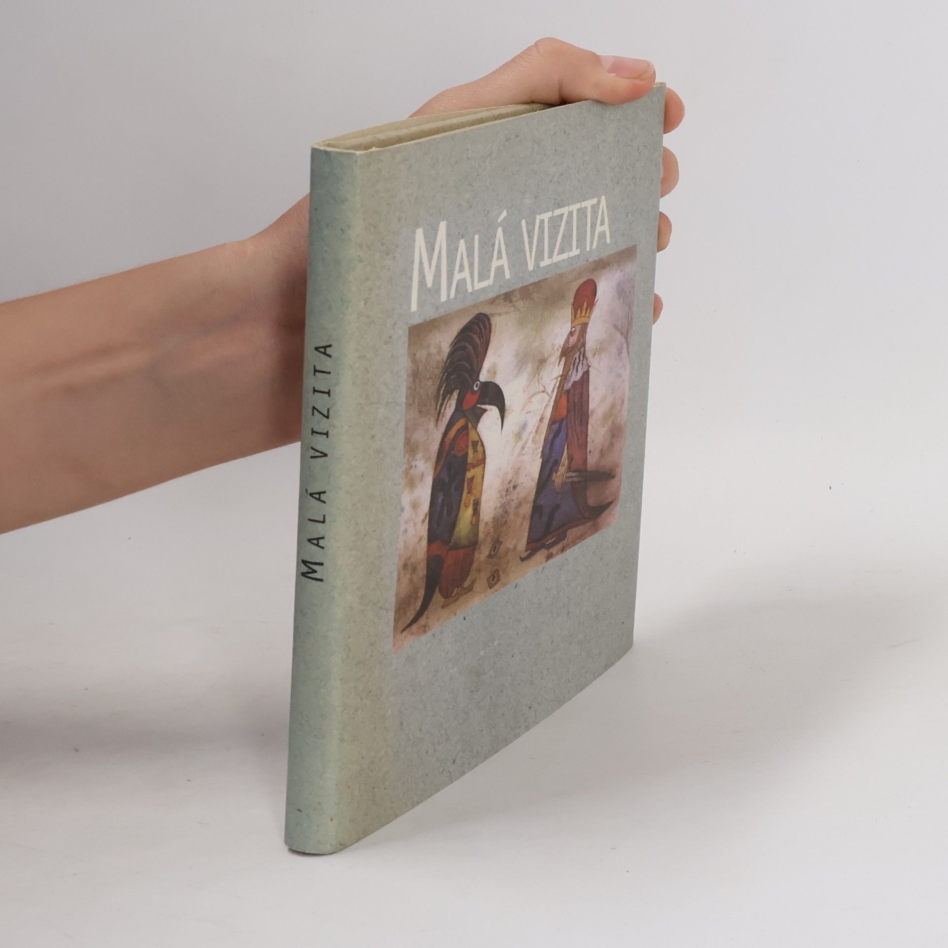 Autores varios Malá vizita